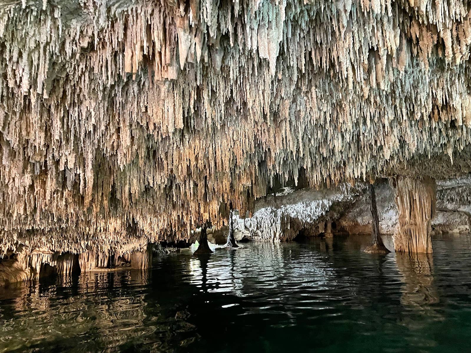 Thrilling Zipline Rides