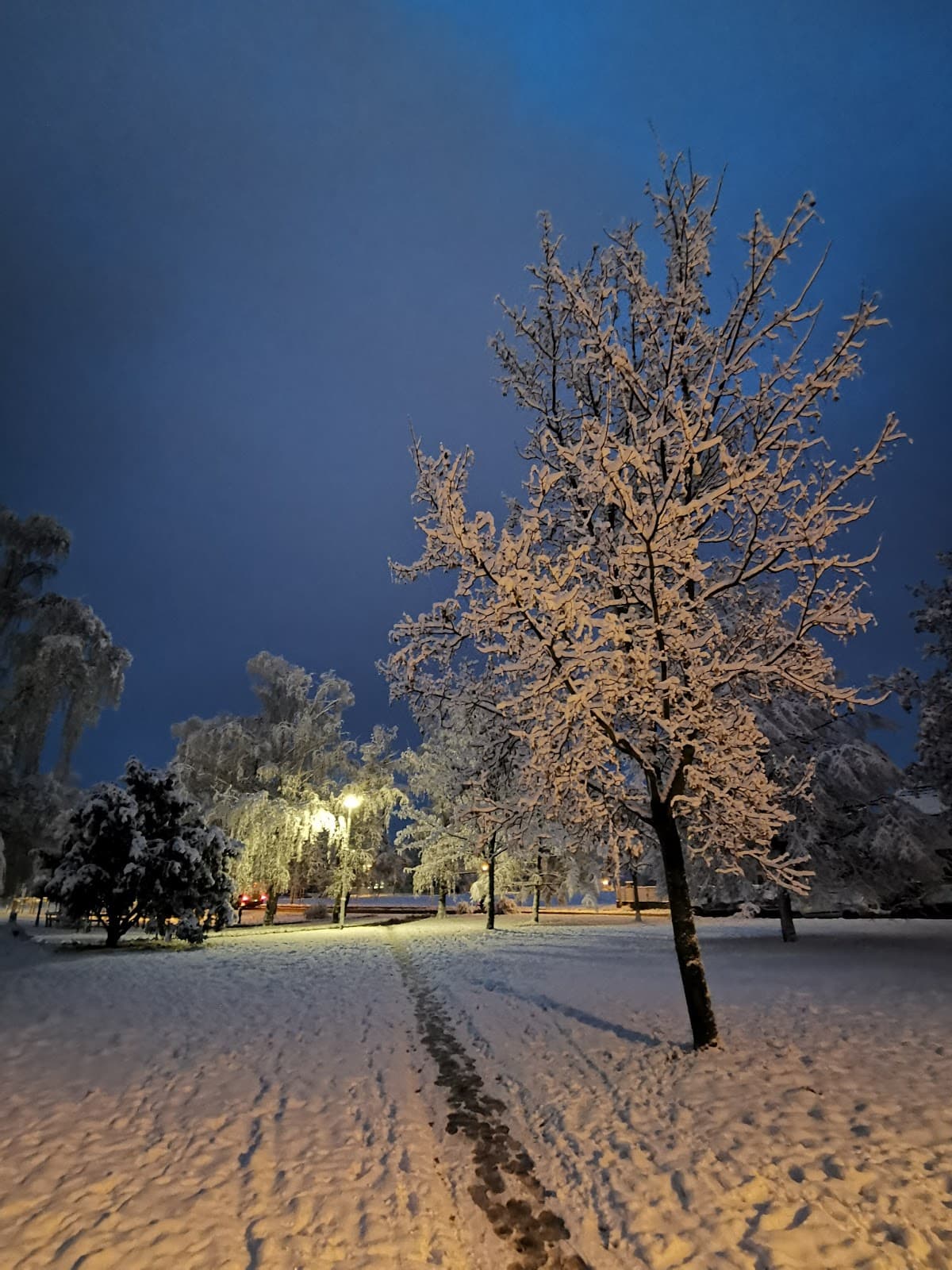Horní Počernice - Image 1