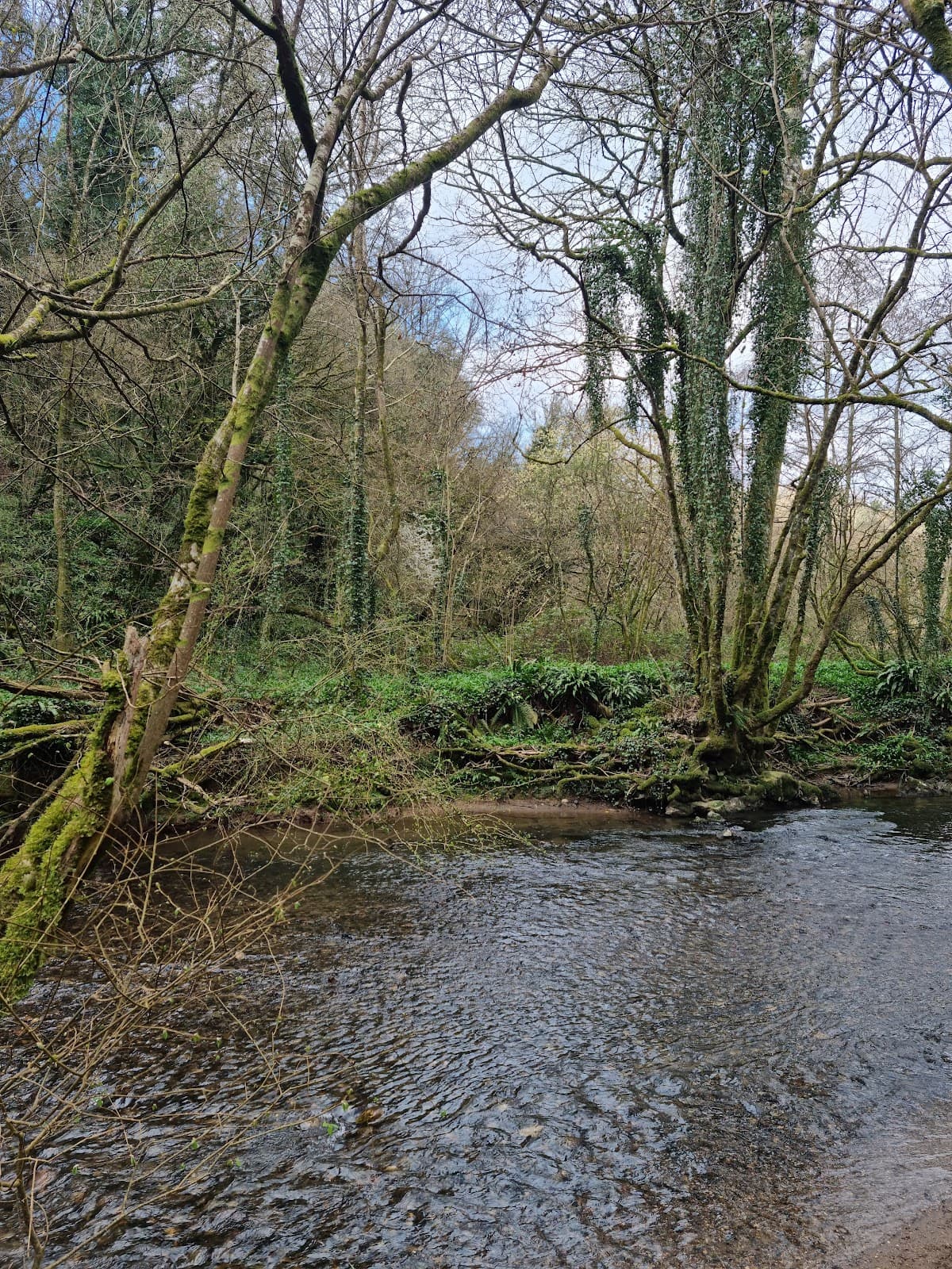 Bradley Woods - Image 1