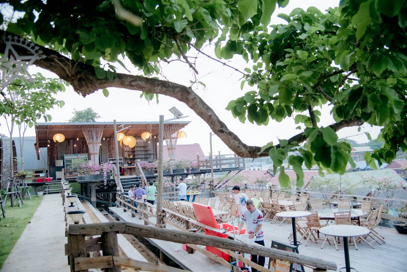 Tranquil Natural Ambiance