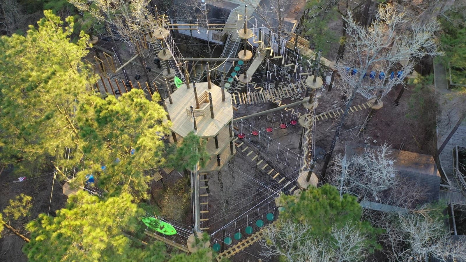 Texas TreeVentures - Image 1