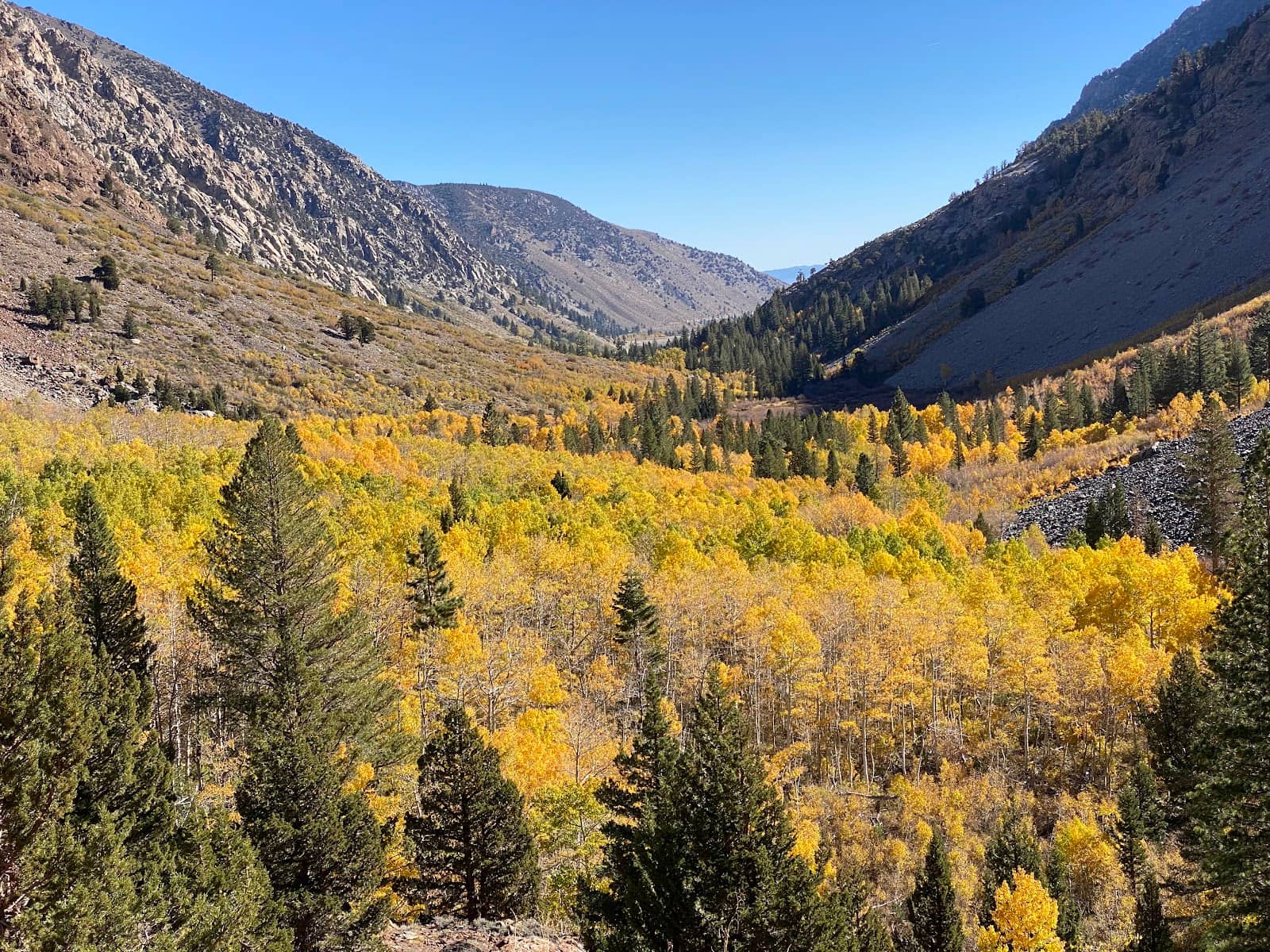 May Lundy Mine Ruins