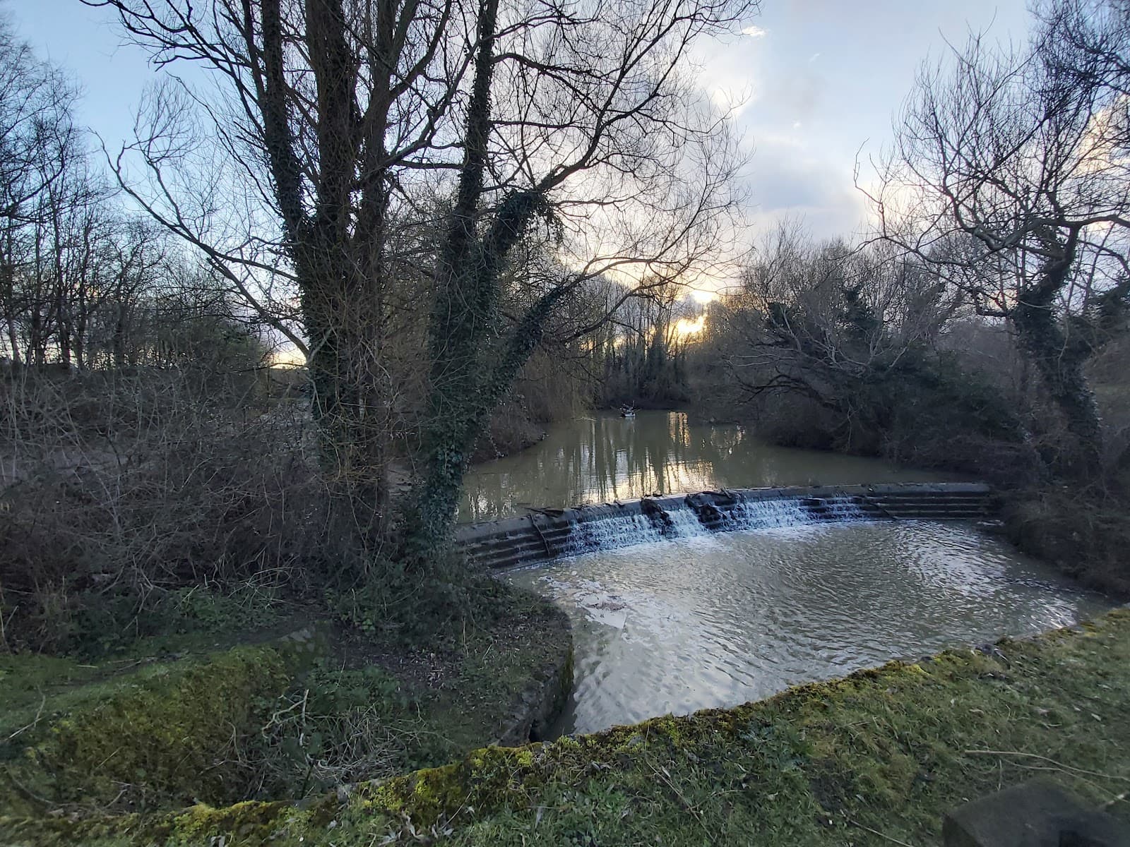 Ifield Mill Pond & Bewbush Water Gardens - Image 1