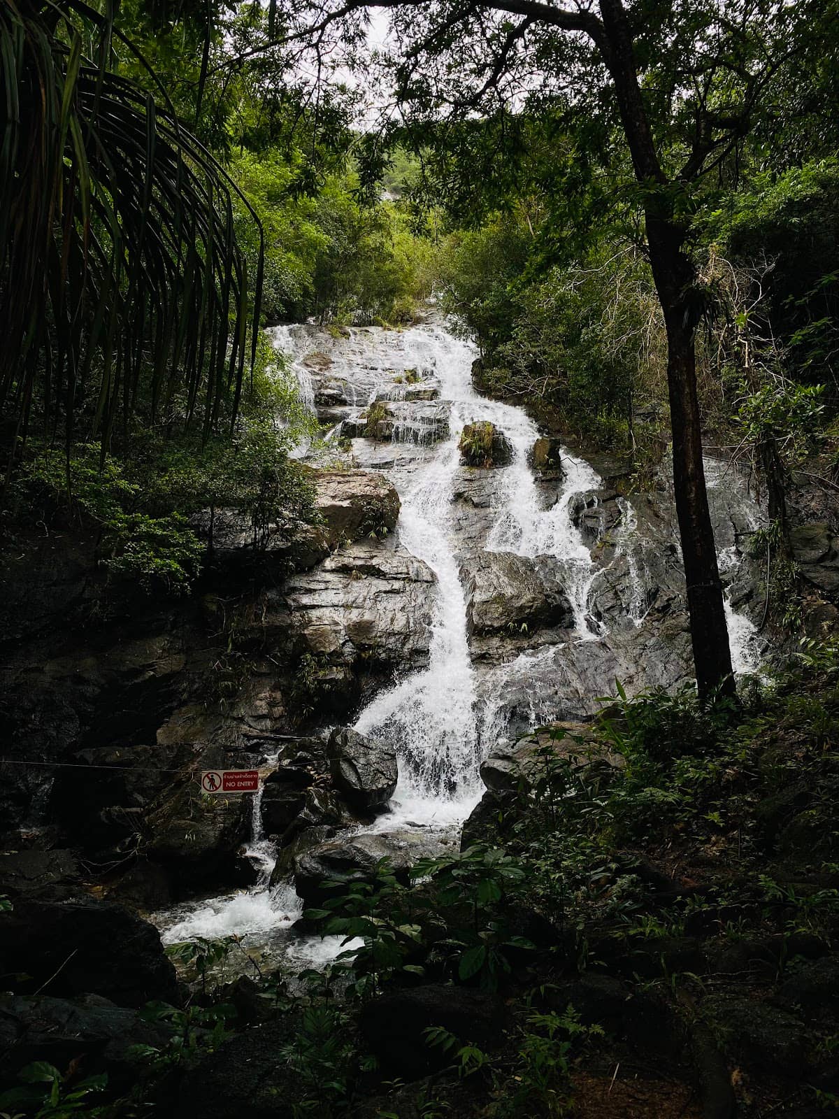 Valley View from Helipad