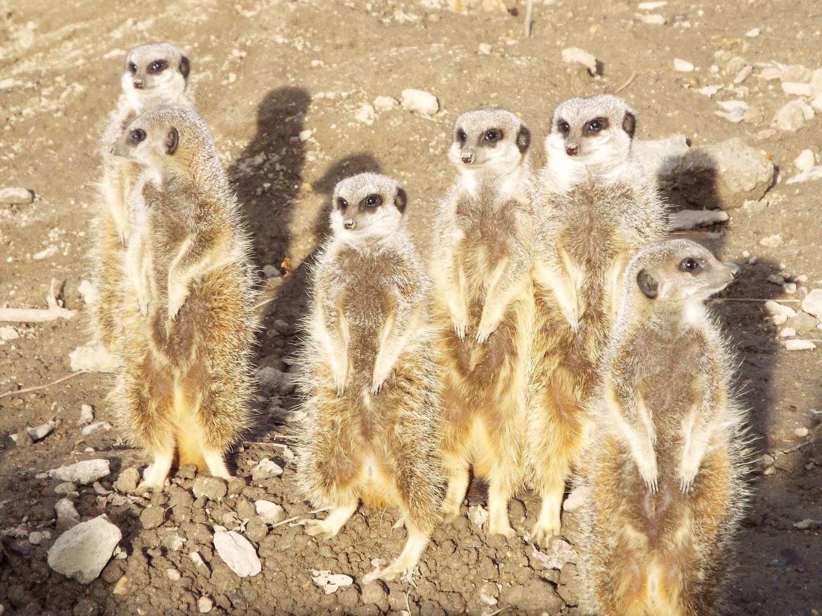 Tilgate Nature Centre - Image 1