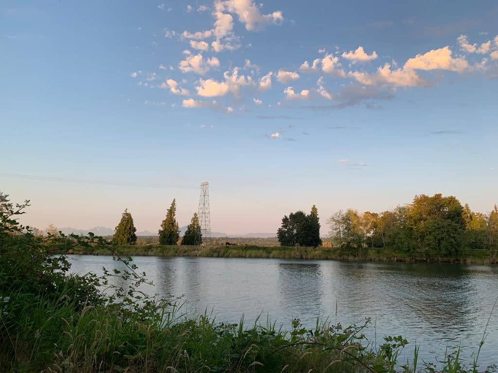 Picnic Spots & Benches
