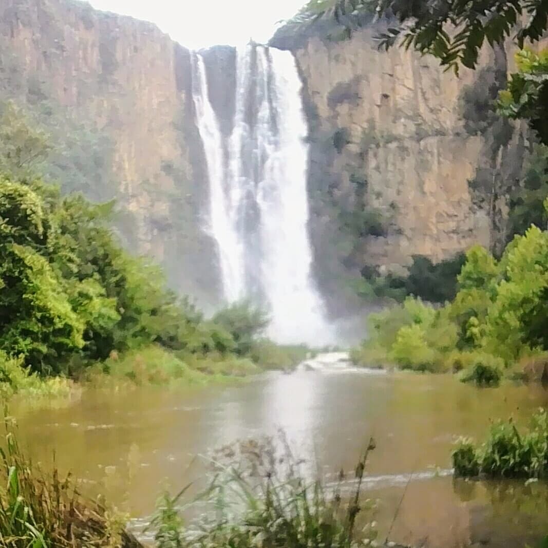 Howick Falls Gorge Trail - Image 1