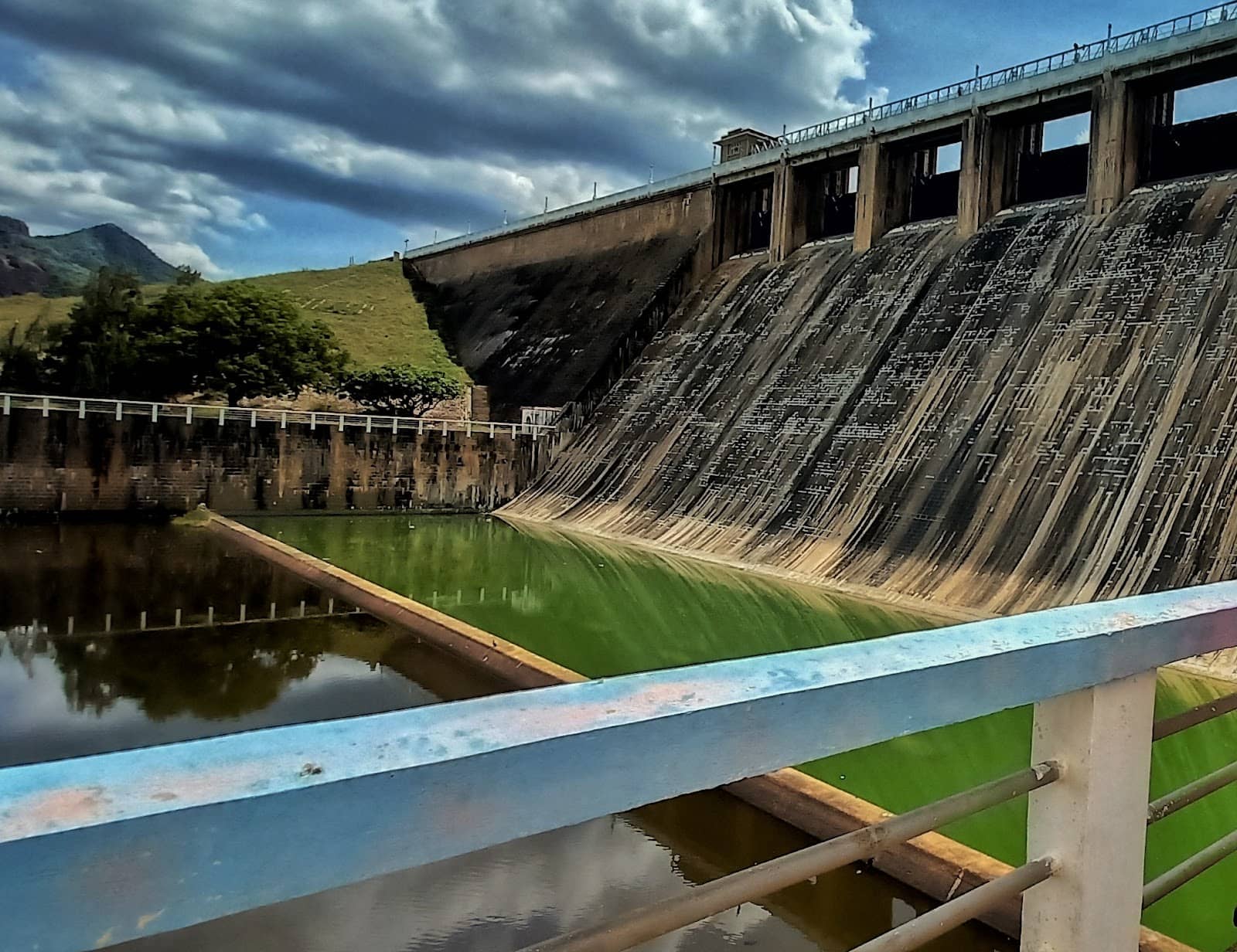 Surrounding Nature Trails