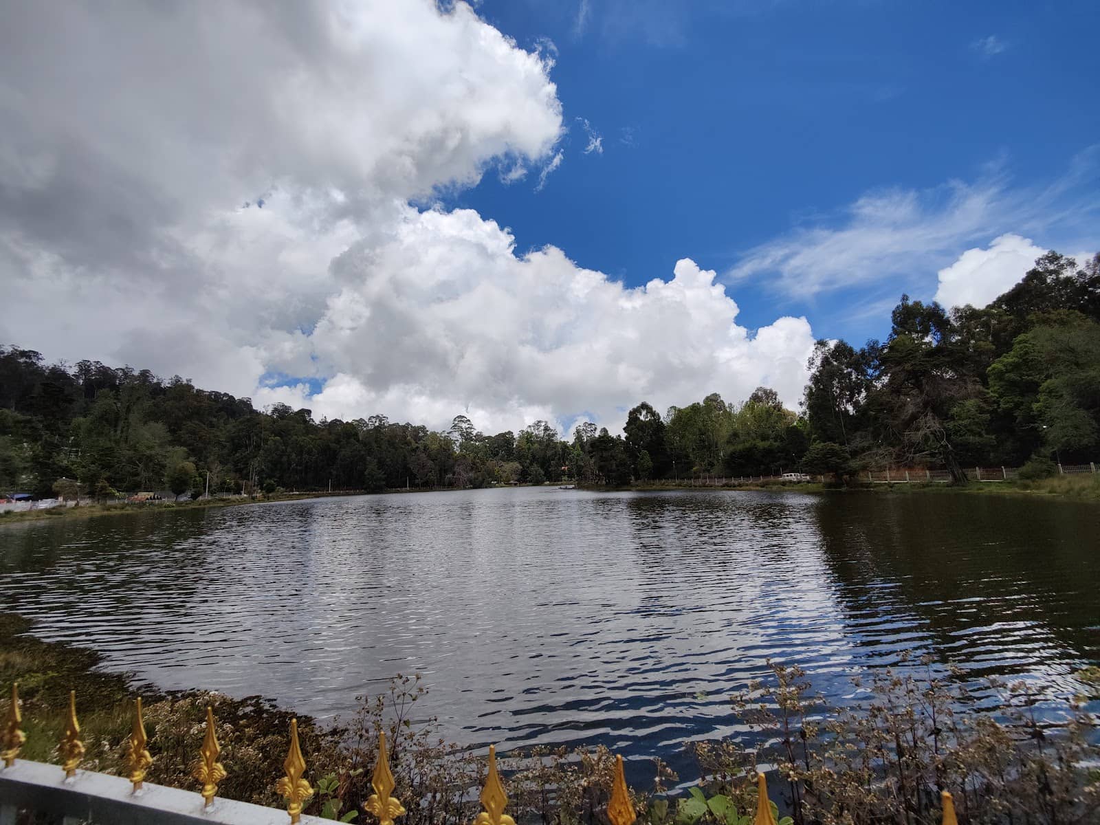 Horse Riding & Cycling