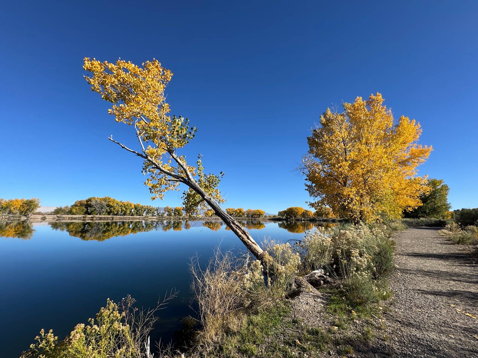 Scenic Lakeside Walks