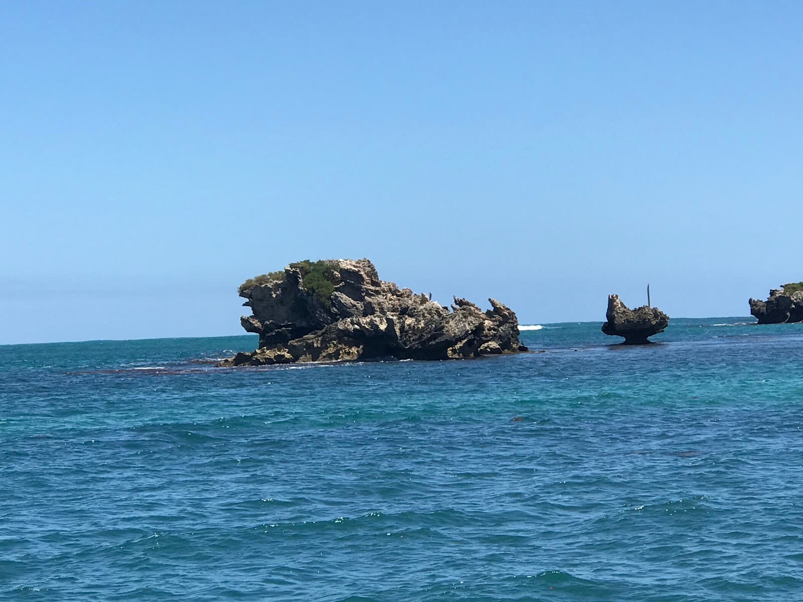 Mersey Point (Penguin Island ferry) - Image 1