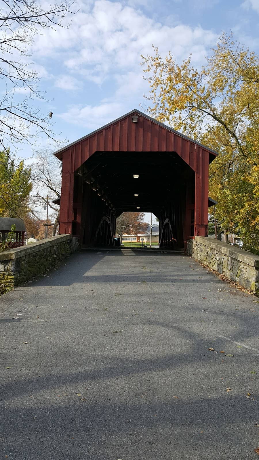 Craft & Exhibit Displays