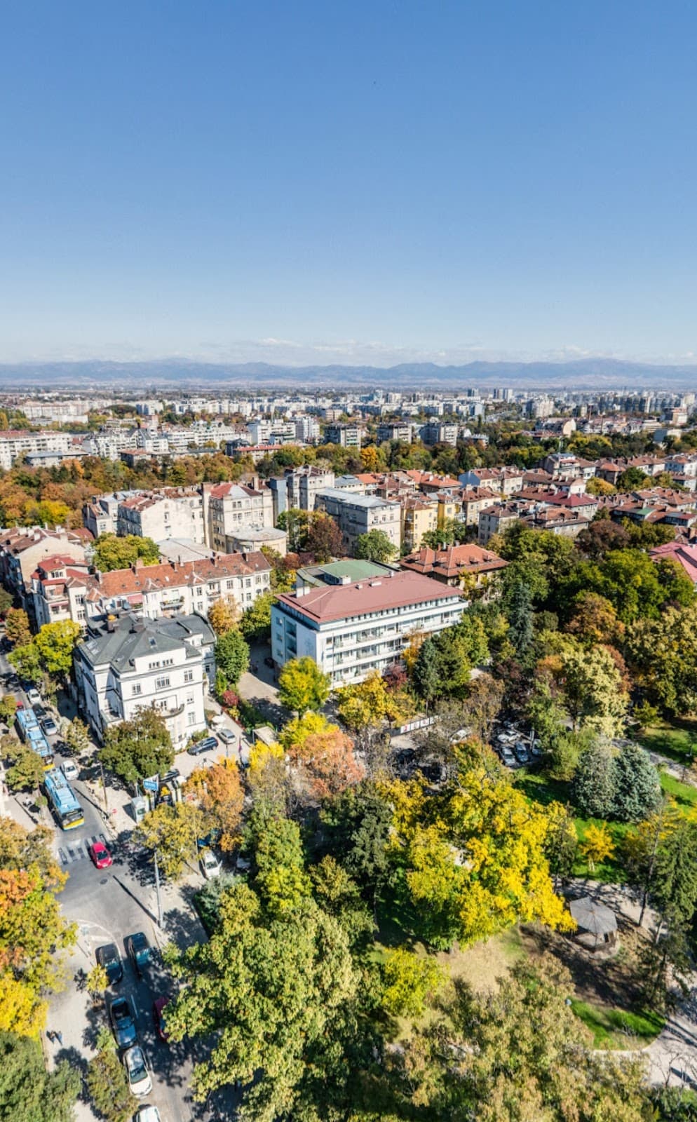 Doctor's Garden - Image 1