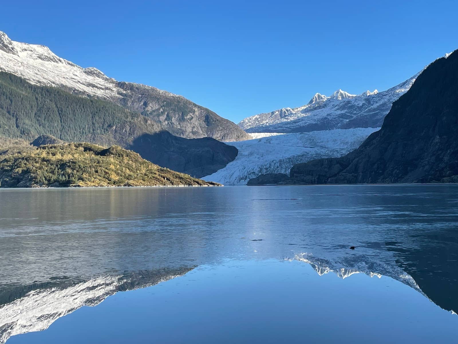 Salmon Run Spectacle