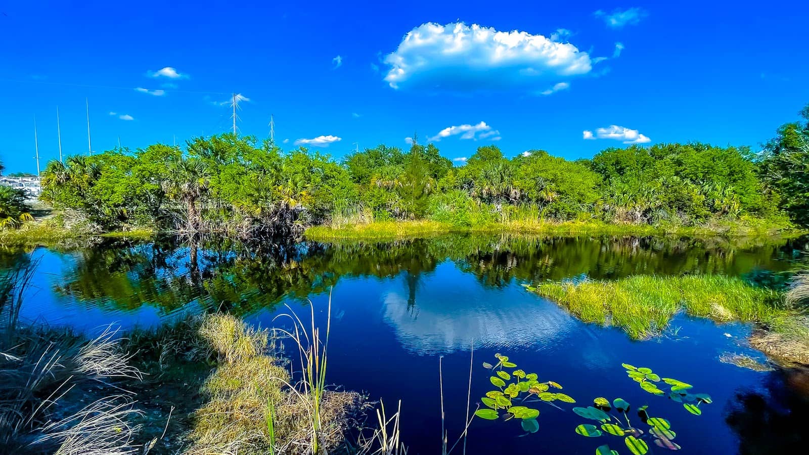 Handicap Accessible Trails