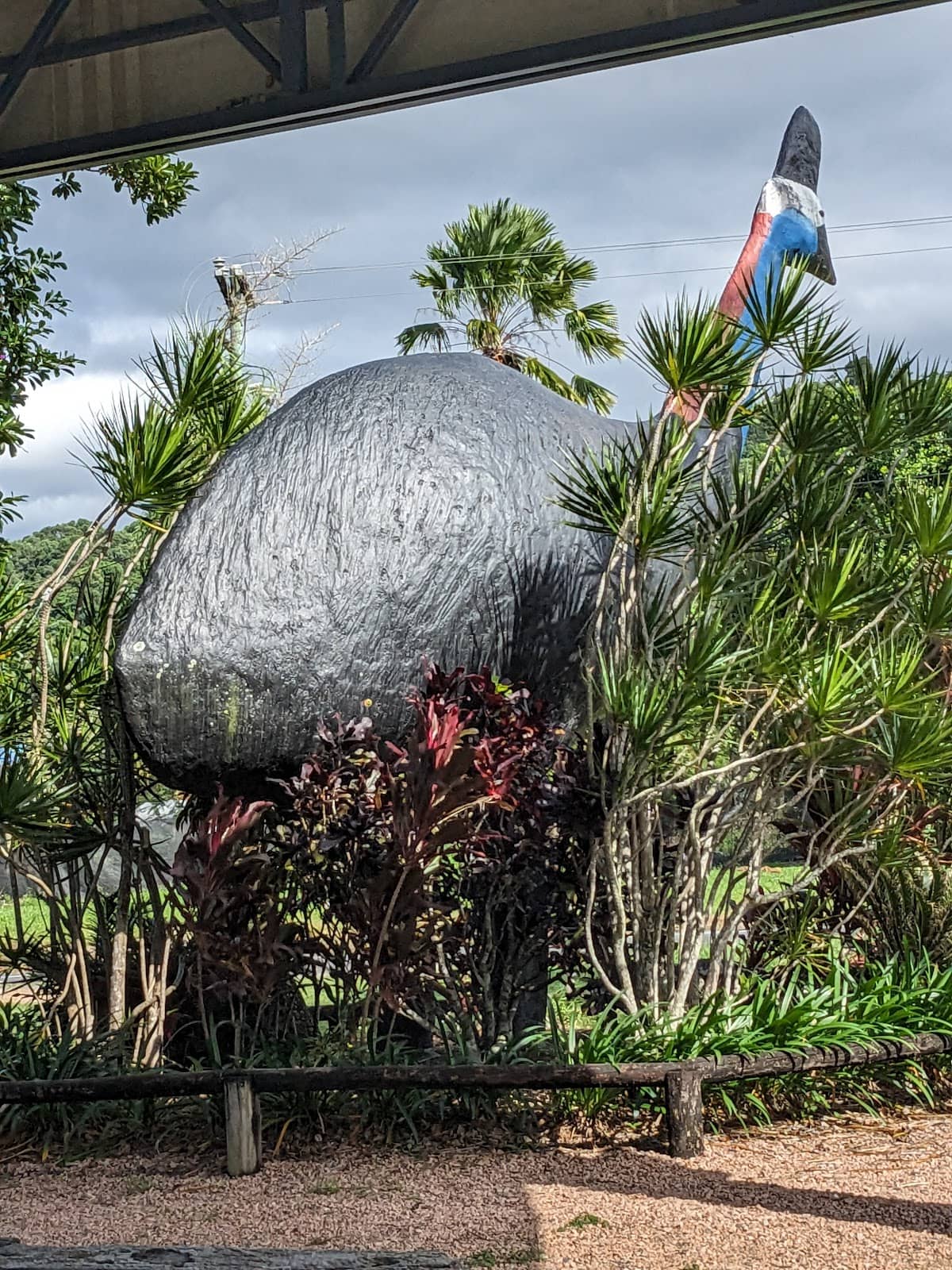 Dunk Island Water Taxi