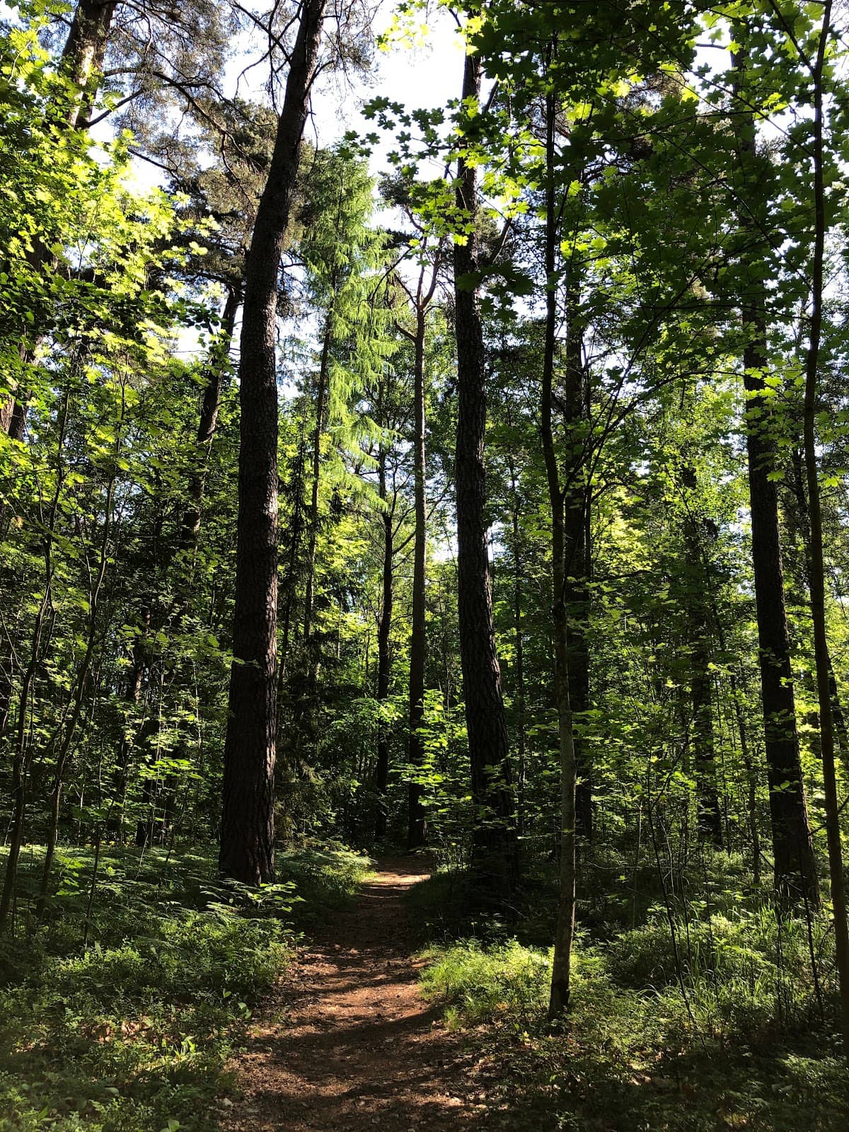 Outdoor Gym & BBQ Areas