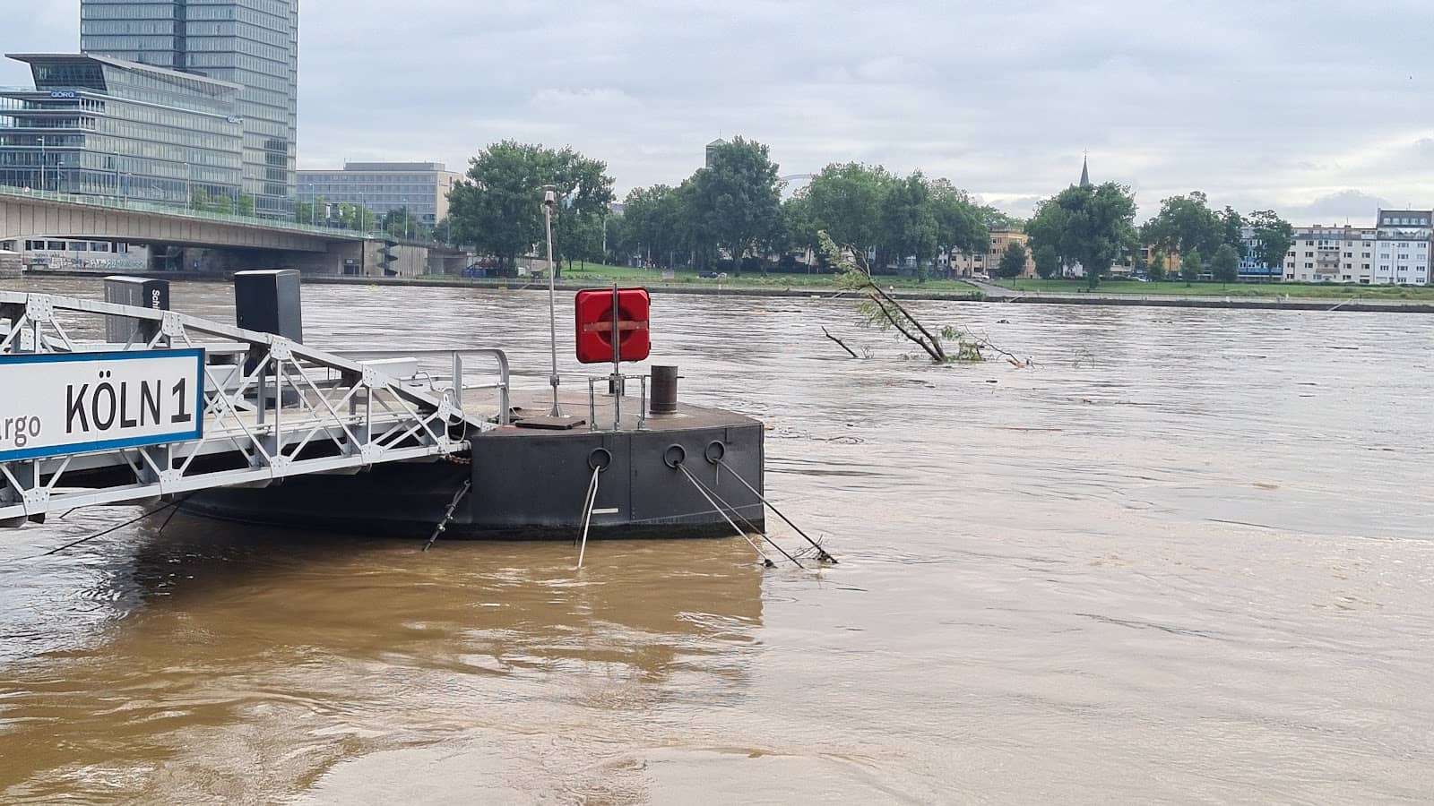 History of Cocoa and Chocolate