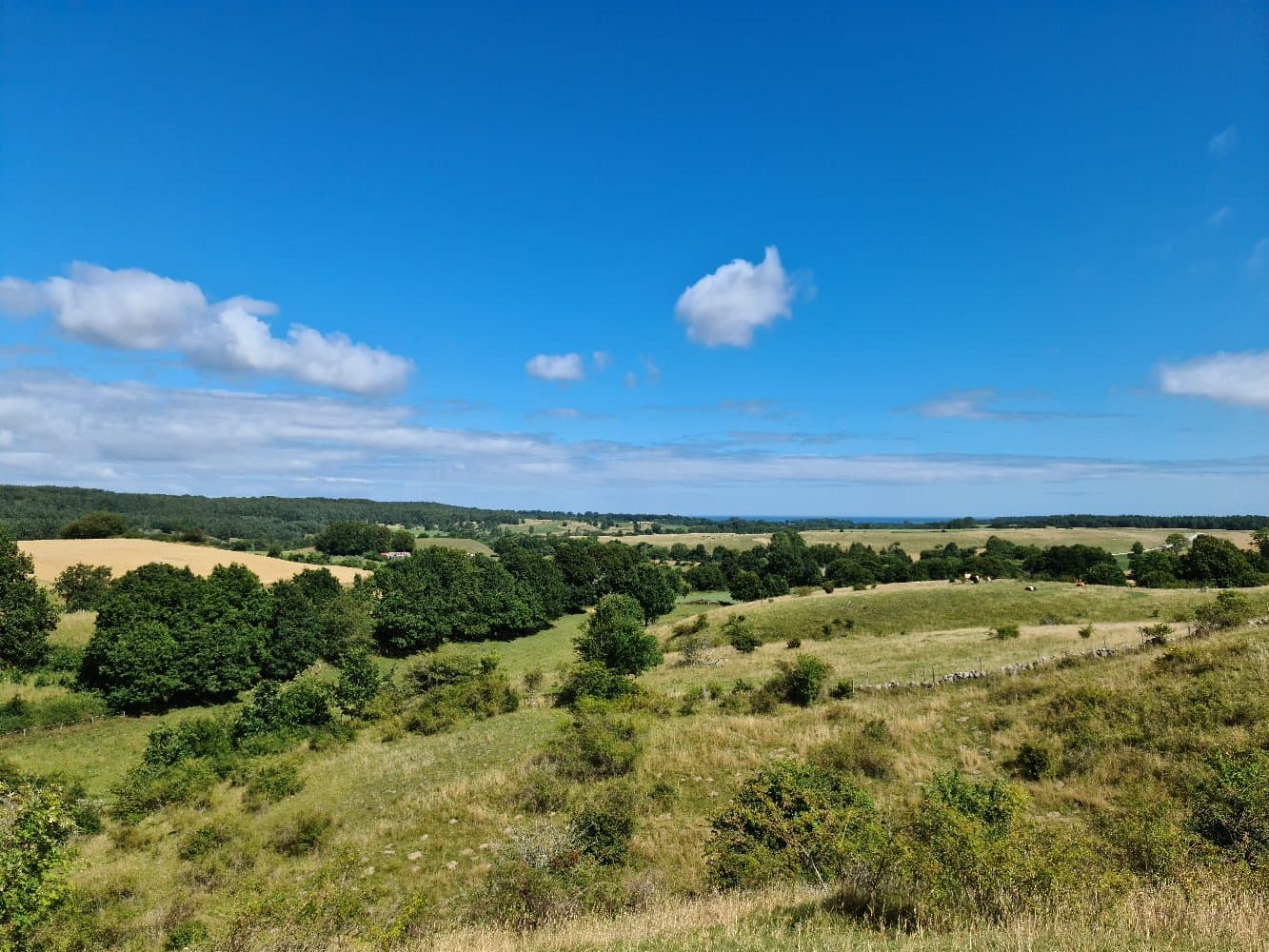 Brösarps Backar - Image 1