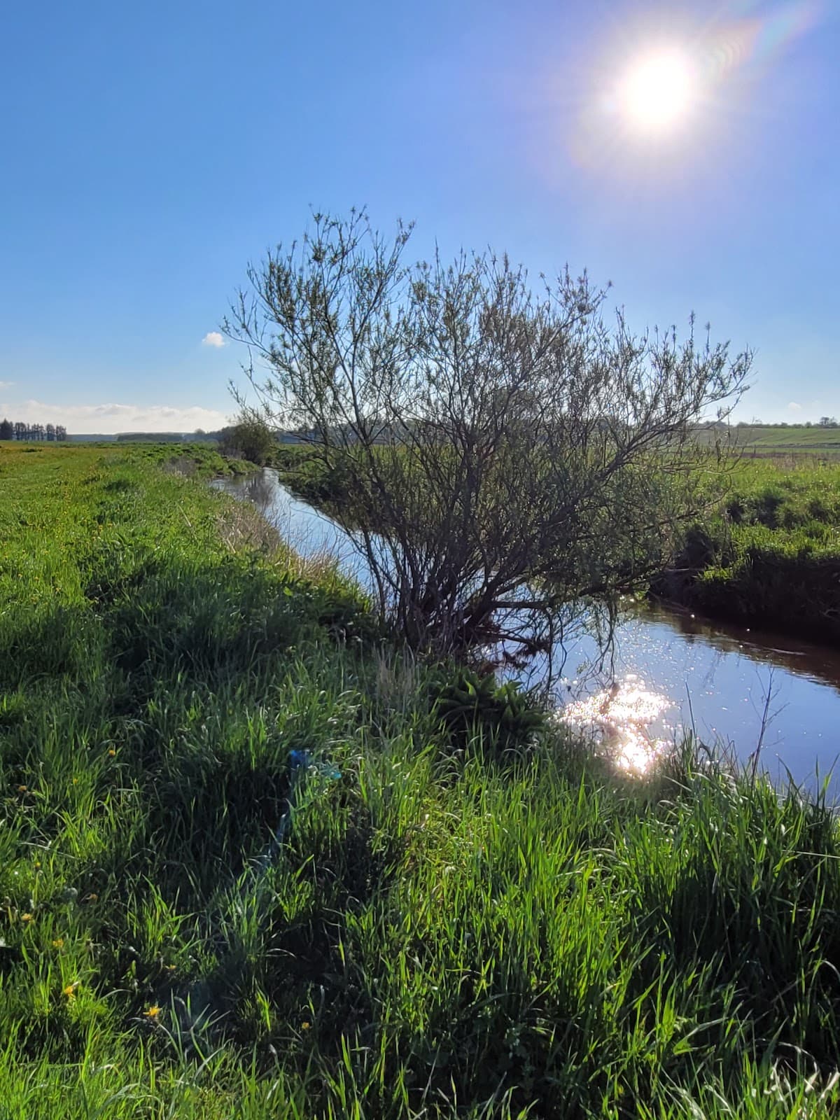 Uggerby Å Nature Area - Image 1