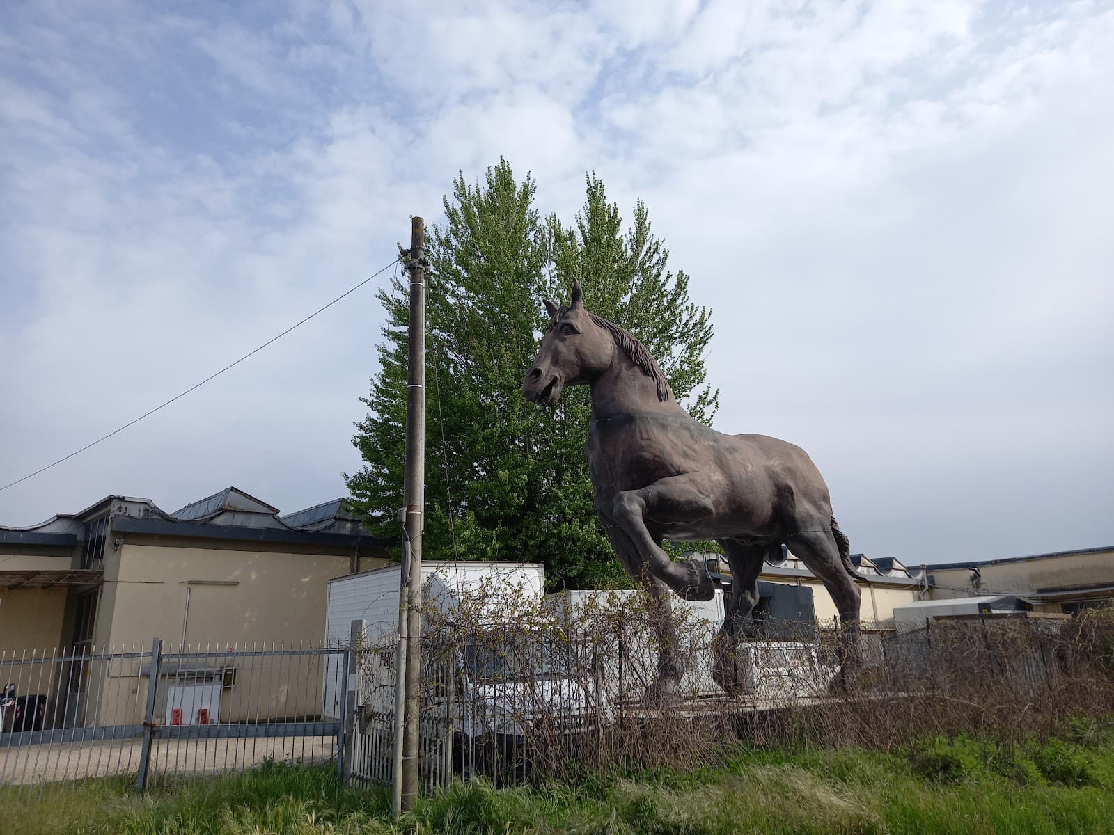 San Donnino (neighborhood) - Image 1