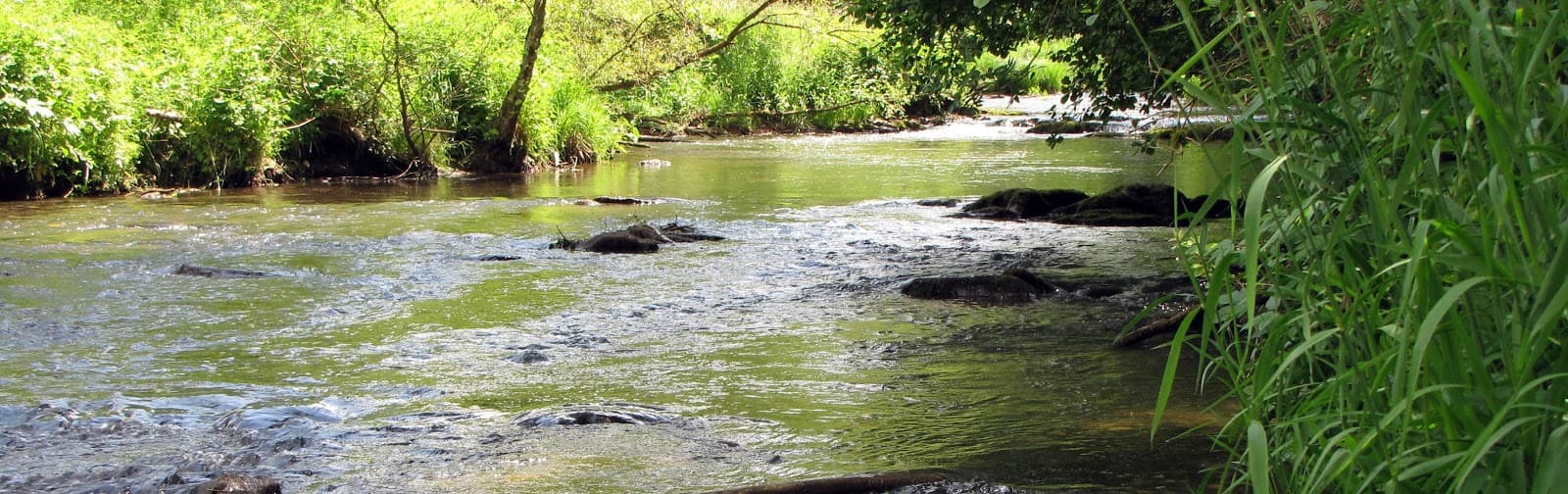 Parc naturel des Deux Ourthes - Image 1
