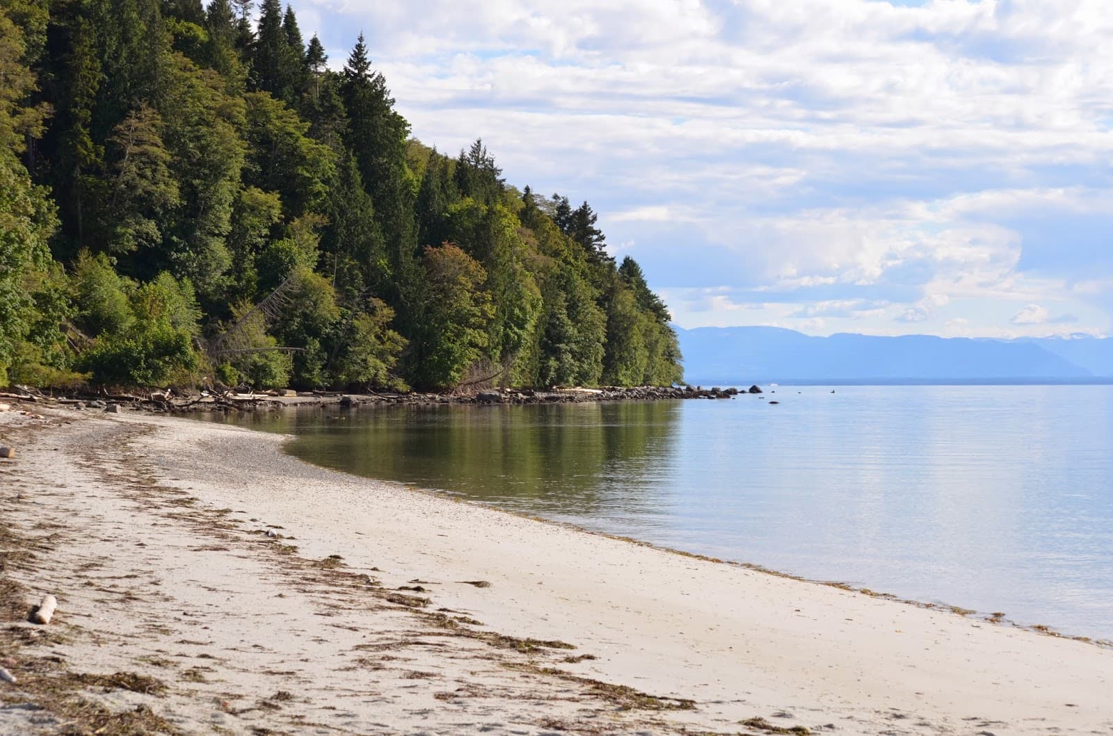 Tla’amin Nation Governance House & Totems - Image 1