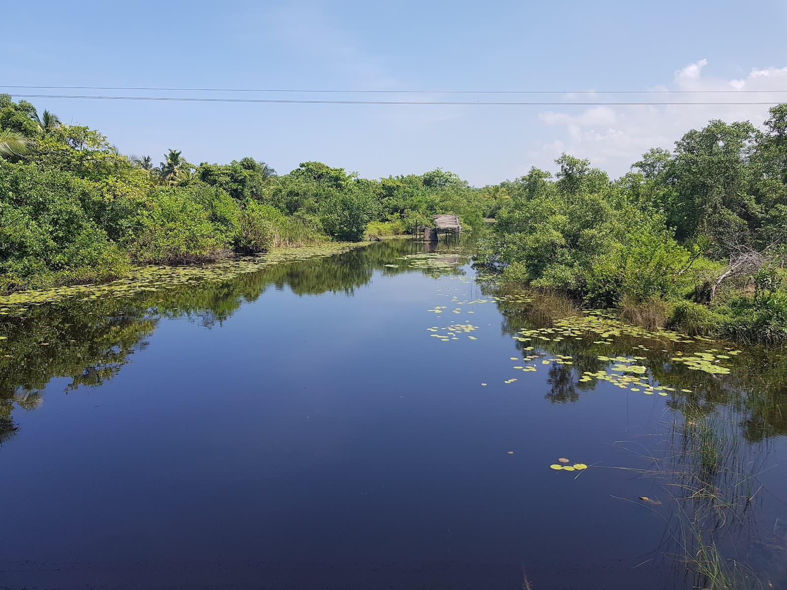 Telwatta Bird Sanctuary - Image 1