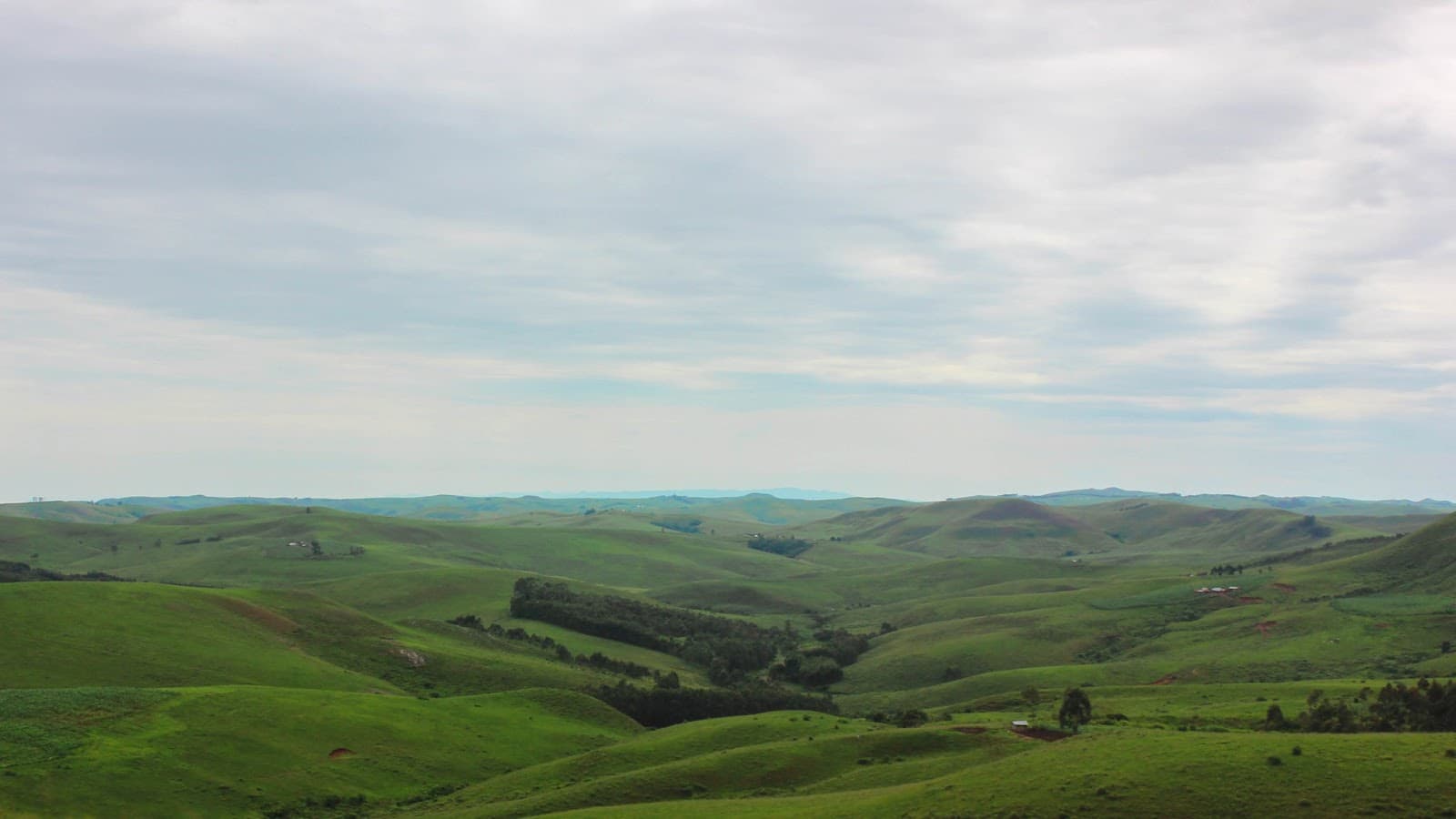 Mambilla Plateau Viewpoint - Image 1