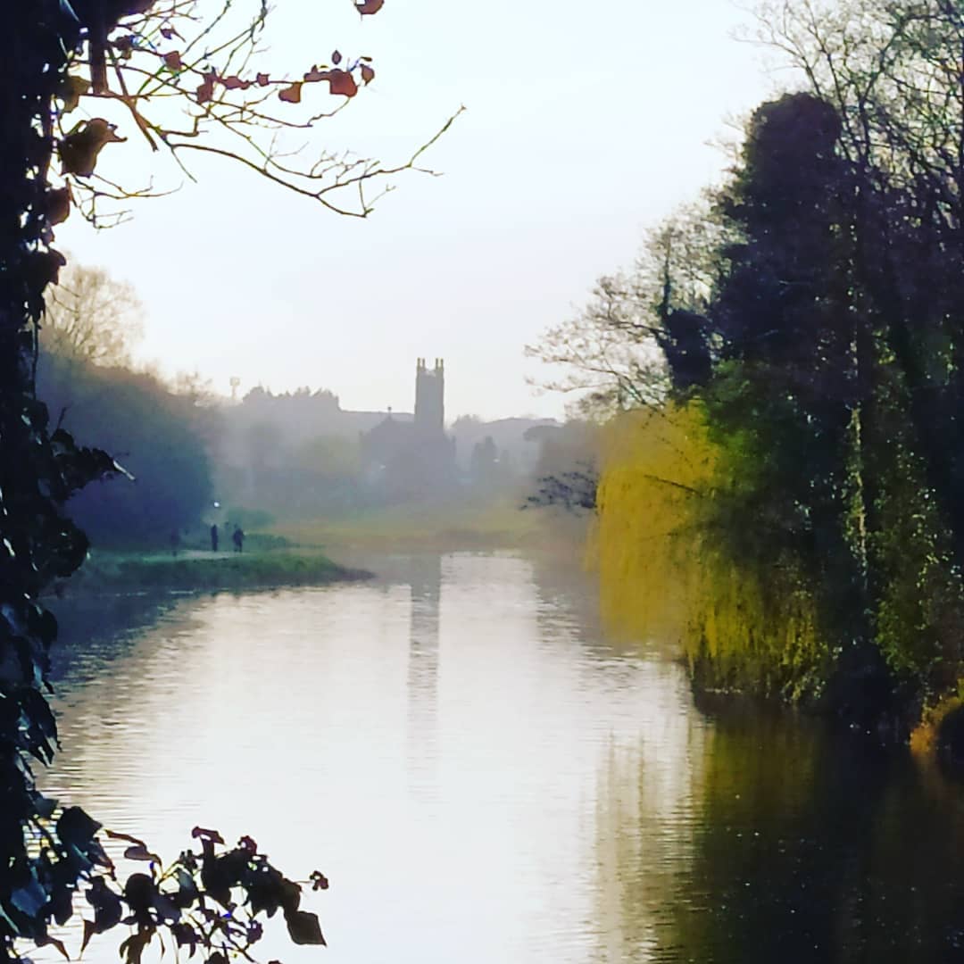 Local Eateries & Cafes