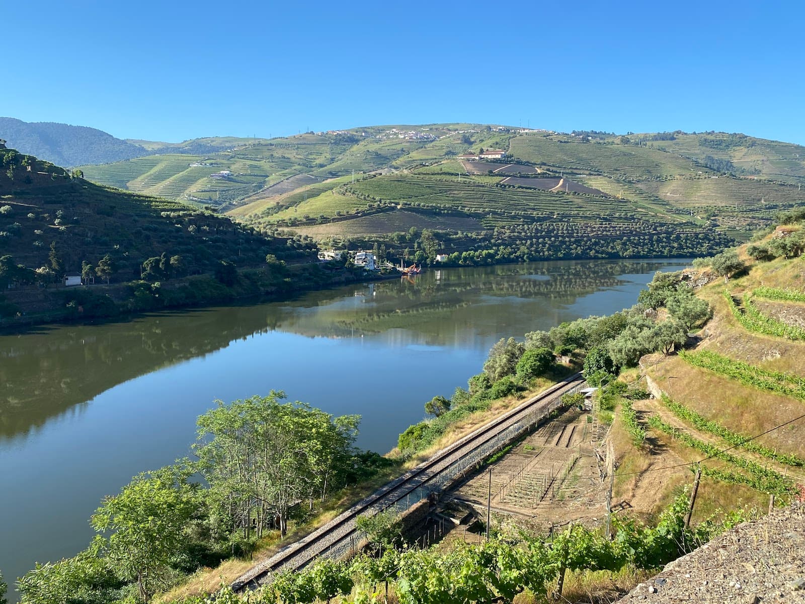 Quinta de La Rosa - Image 1