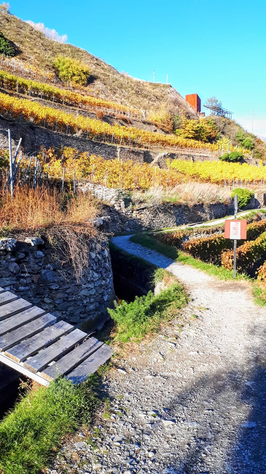 Raclette Picnic Spot