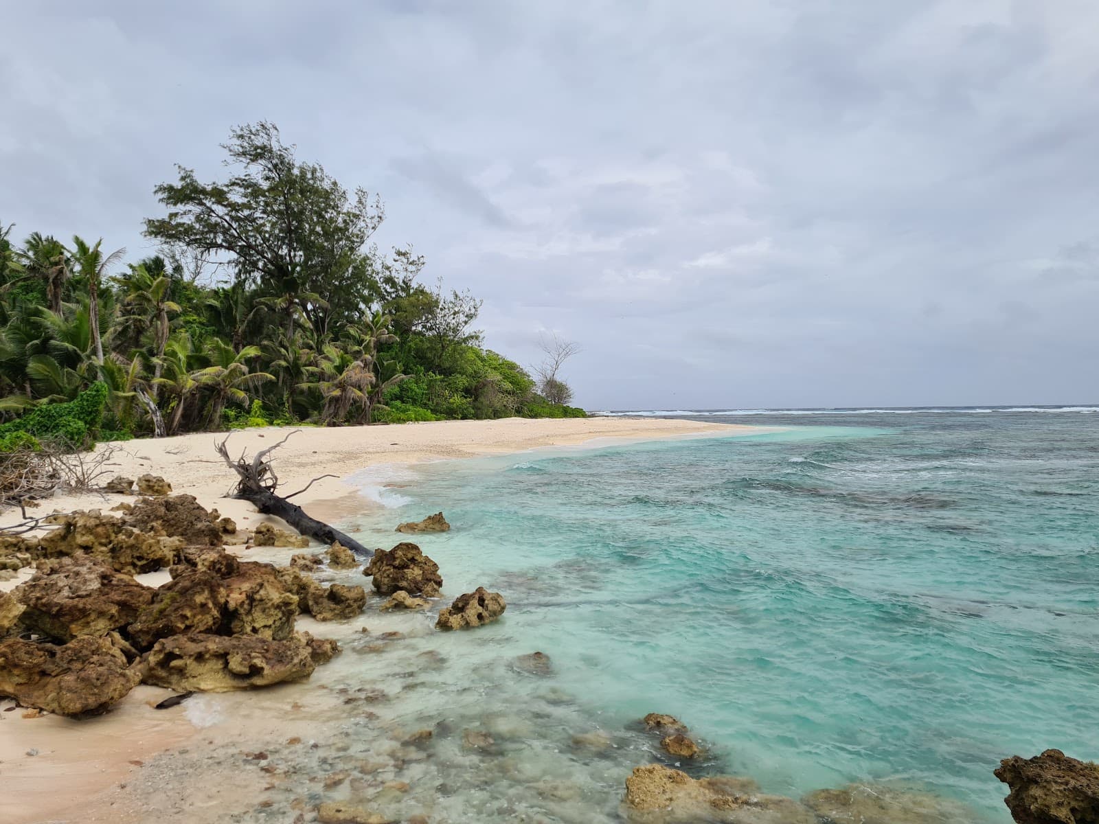 Denis Island - Image 1