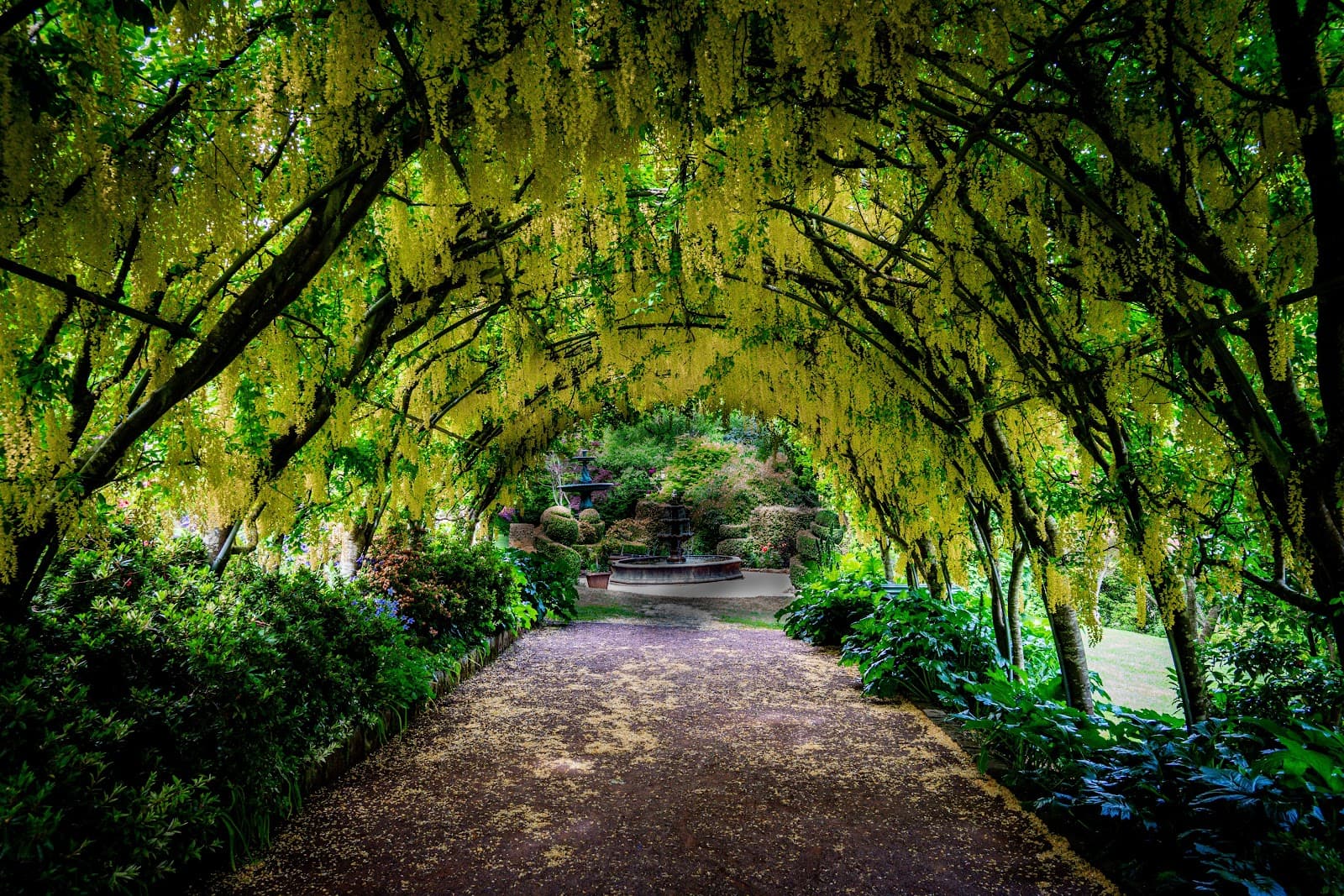 Forest Glade Gardens - Image 1