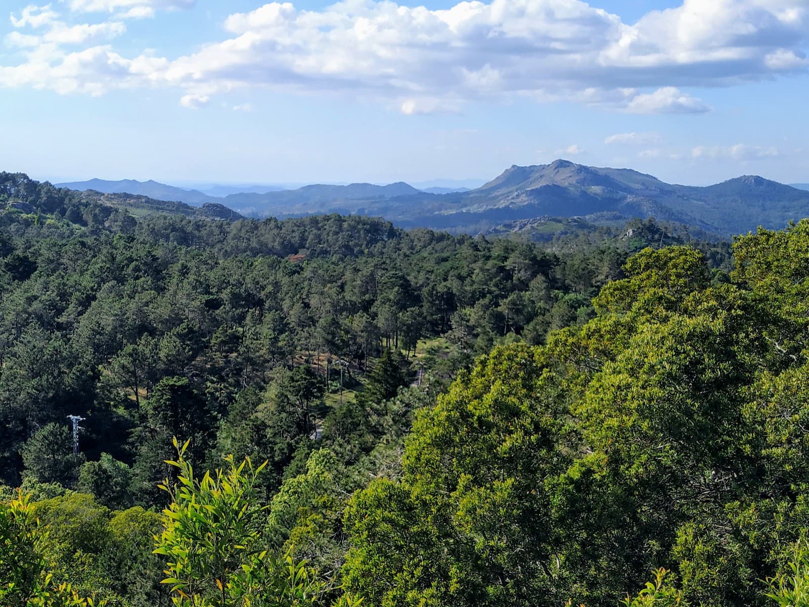 Monte Aloia Natural Park - Image 1