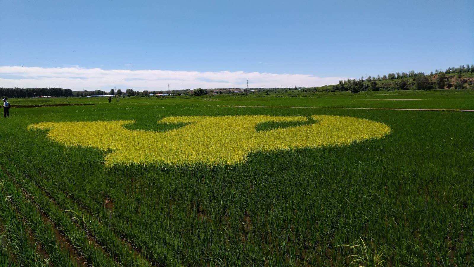 Ulanhu Former Residence - Image 1