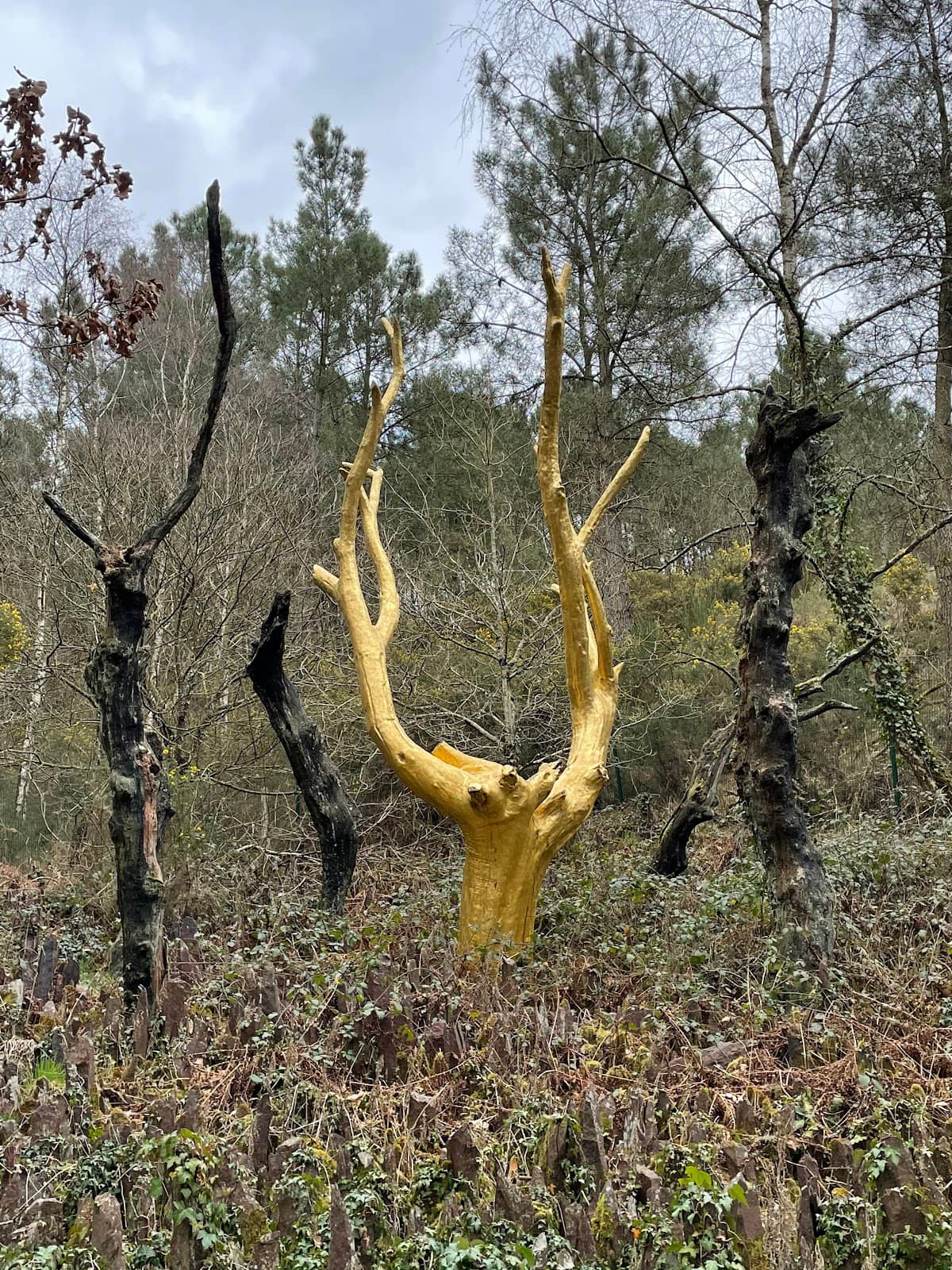 Val Sans Retour Circuit