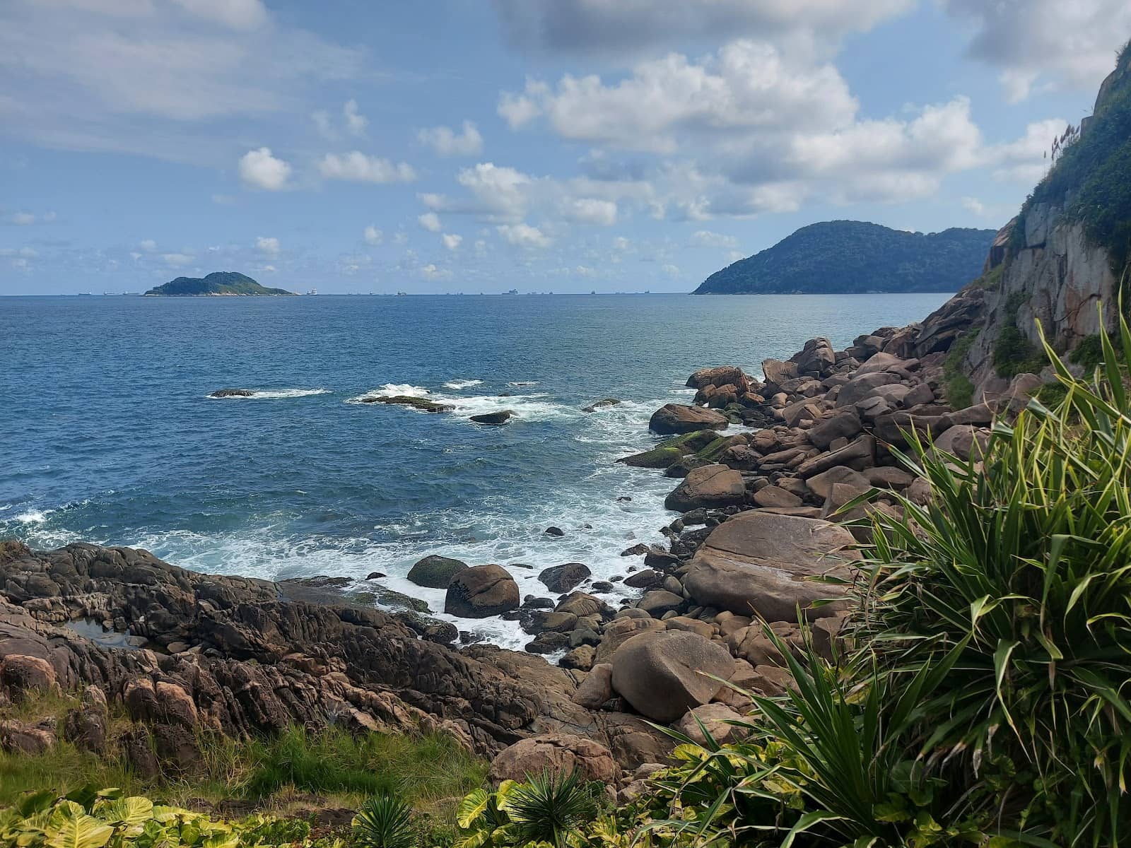 Atlantic Forest Scenery