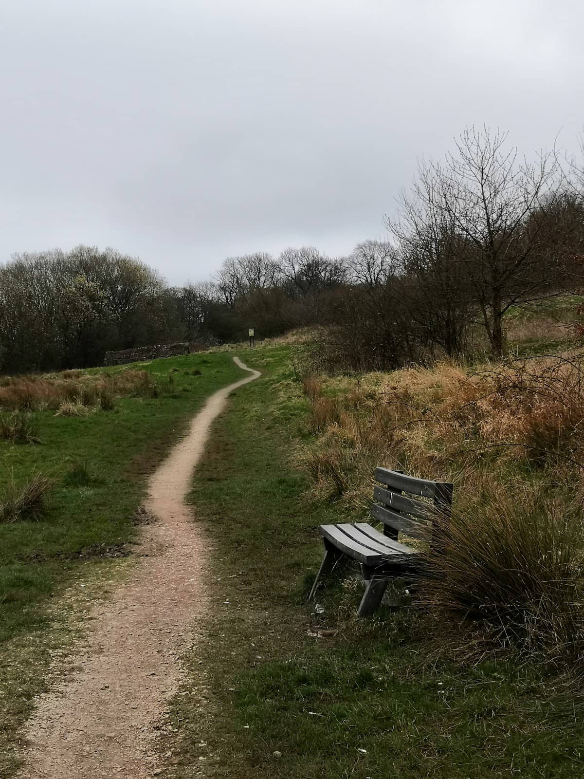 Picnic Spots with a View