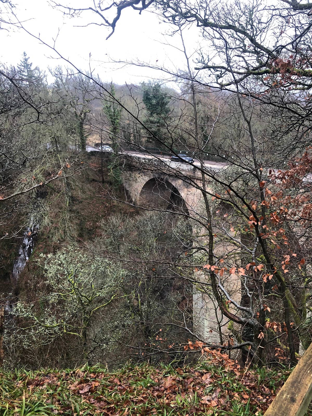 Cartland Bridge's Grandeur