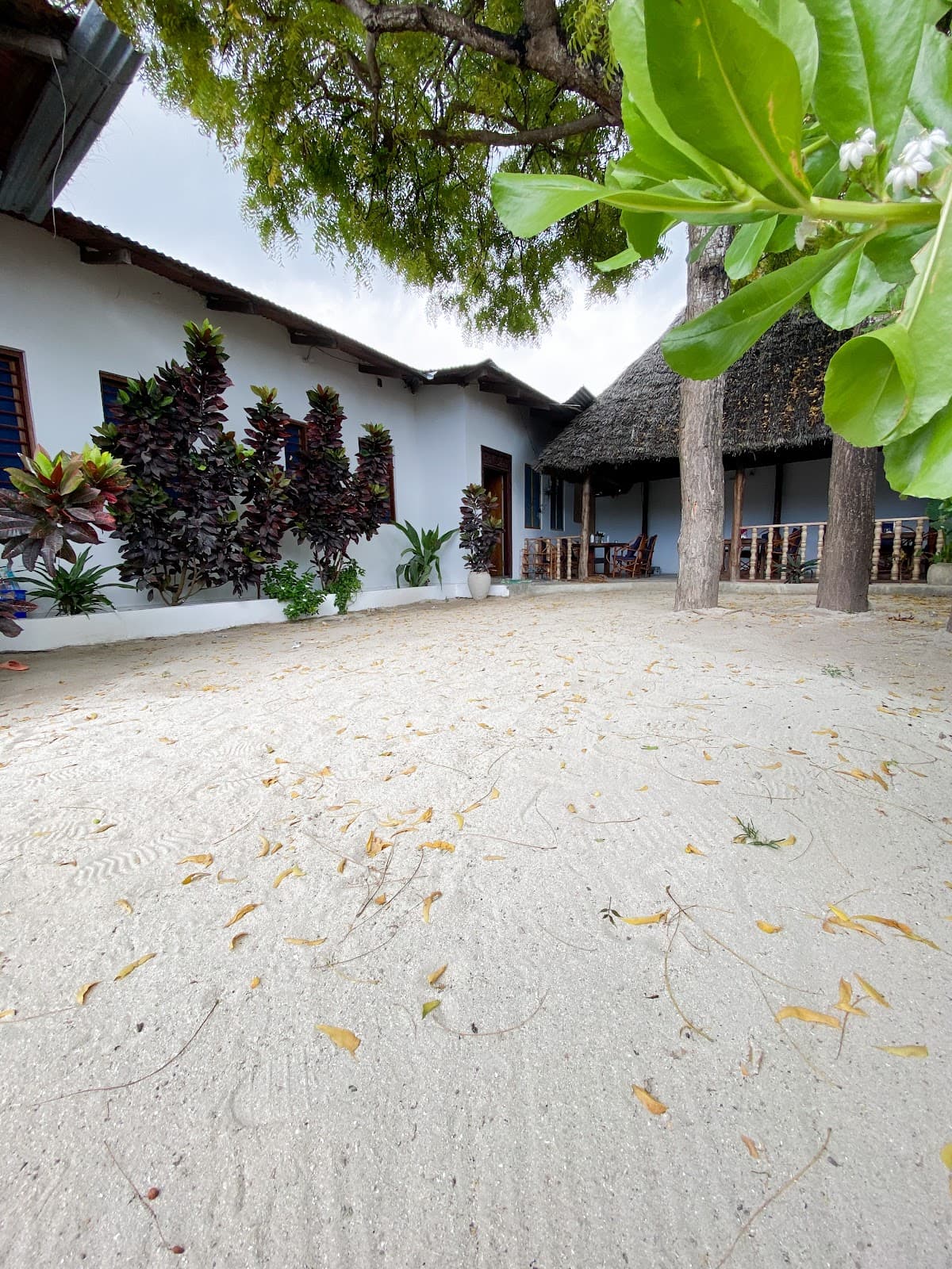Ras Nungwi Lighthouse - Image 1
