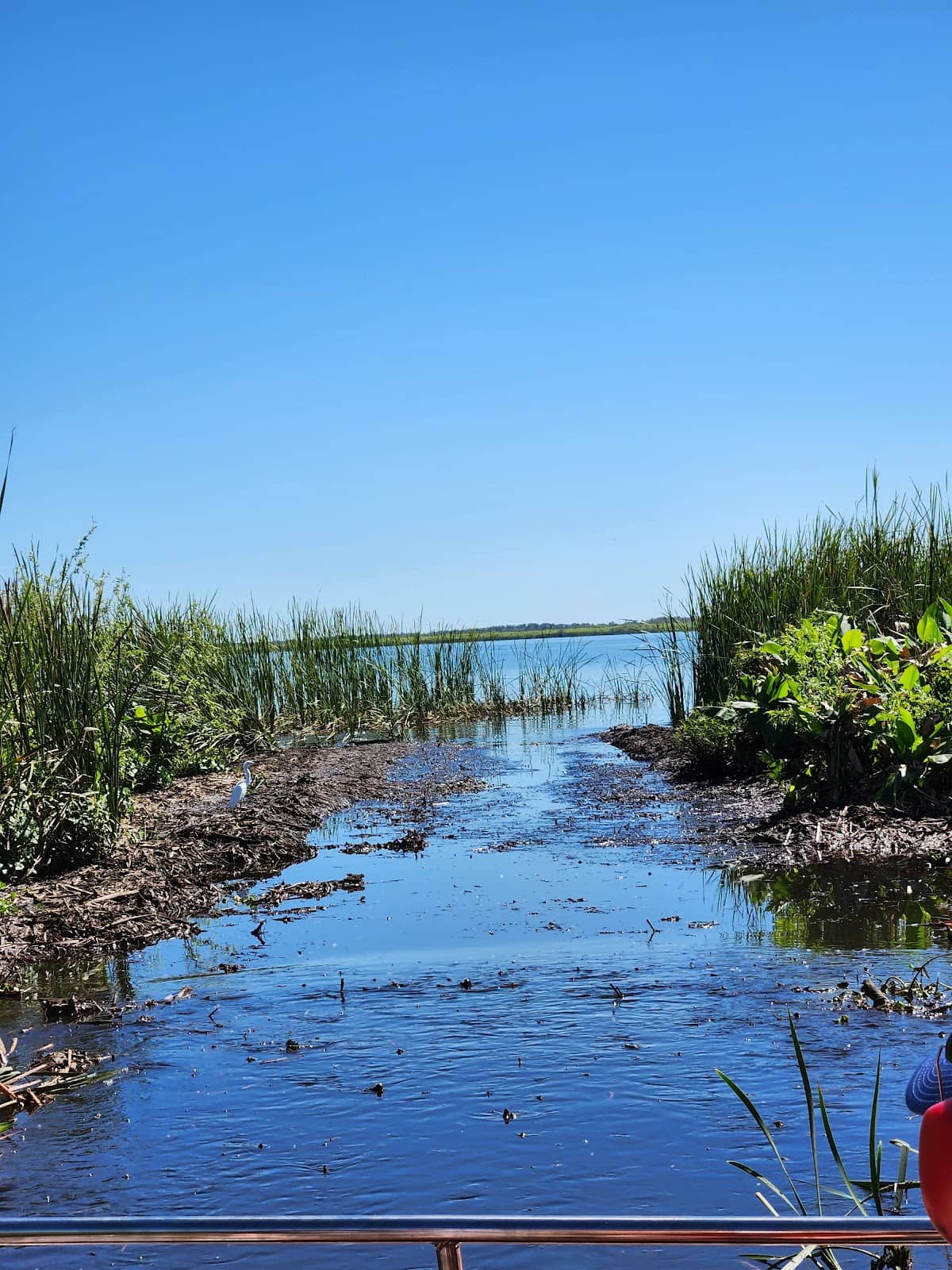 Thrilling Airboat Ride