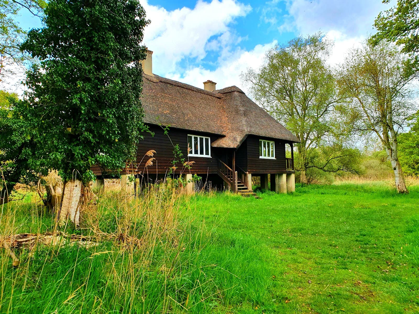 Woodwalton Fen National Nature Reserve - Image 1