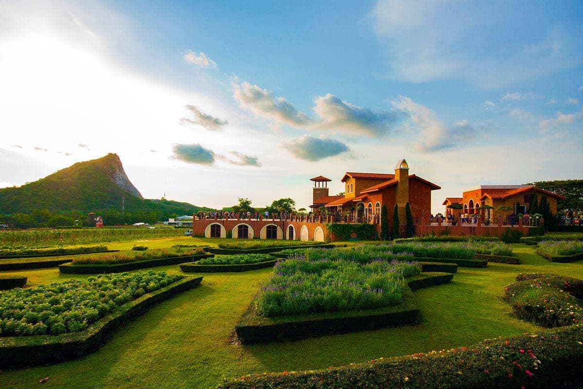 Silverlake Vineyard - Image 1