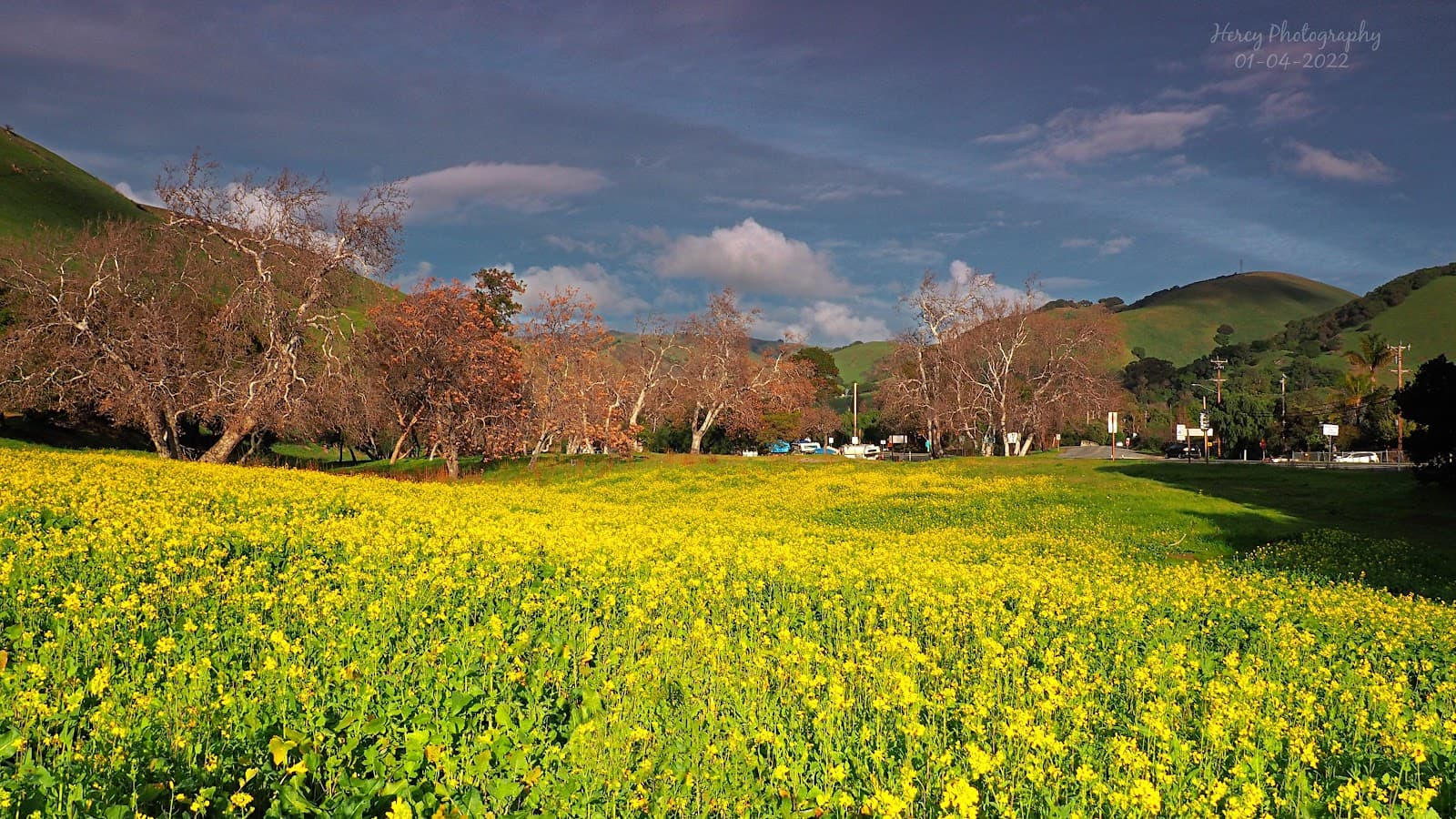 Vallejo Mill Historic Park - Image 1
