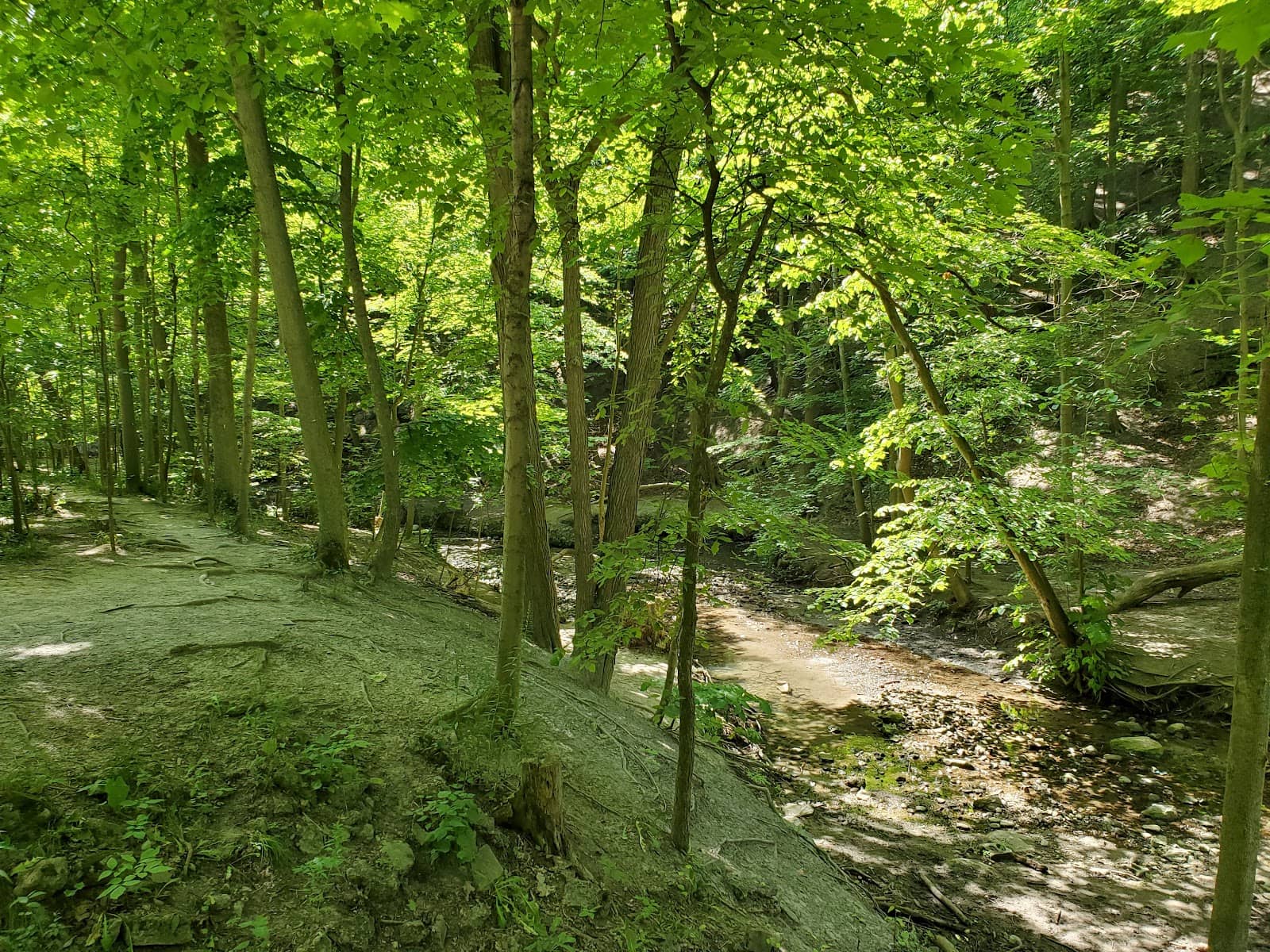 Beltline Trail Access