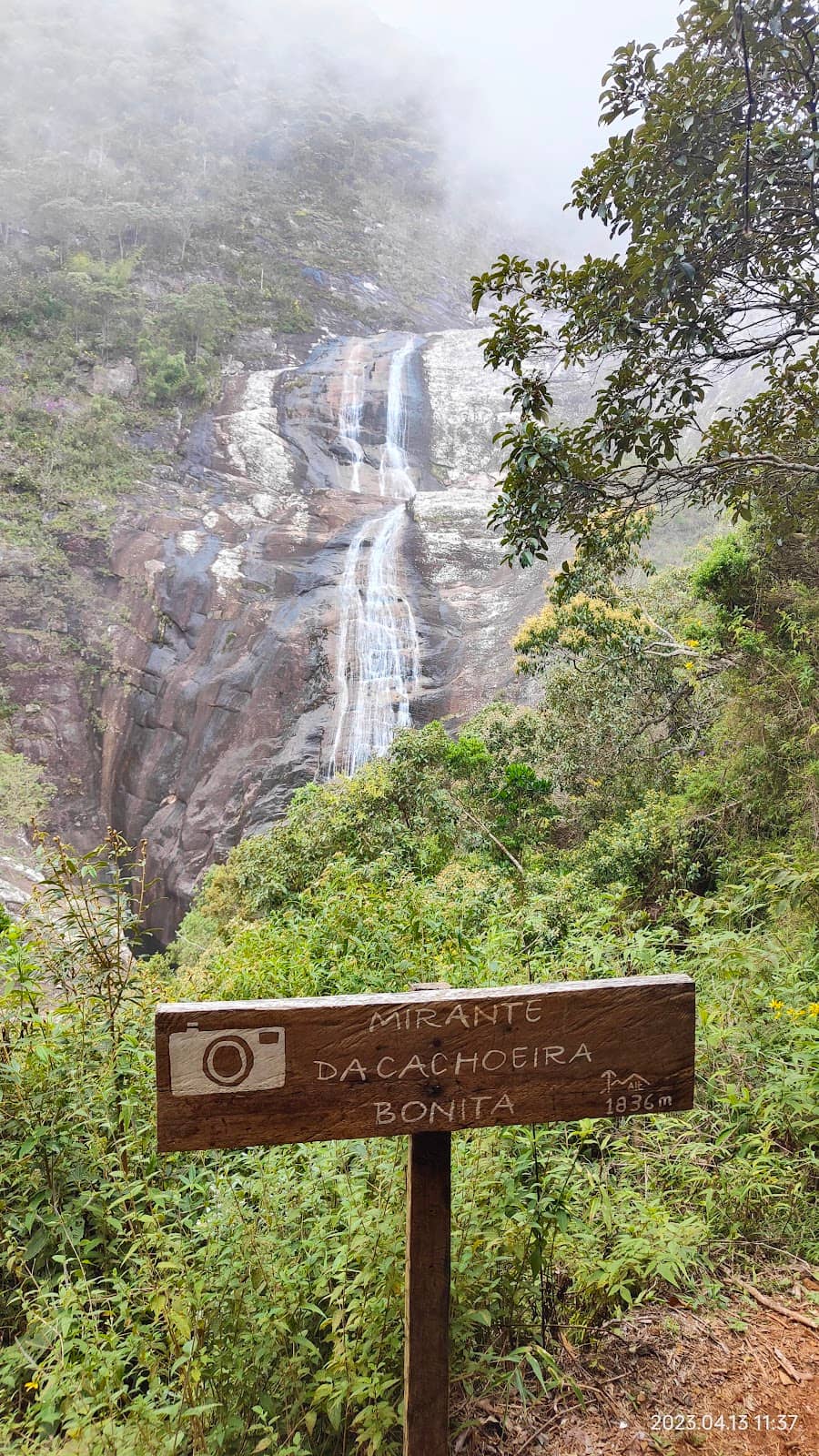 Vertical photo
