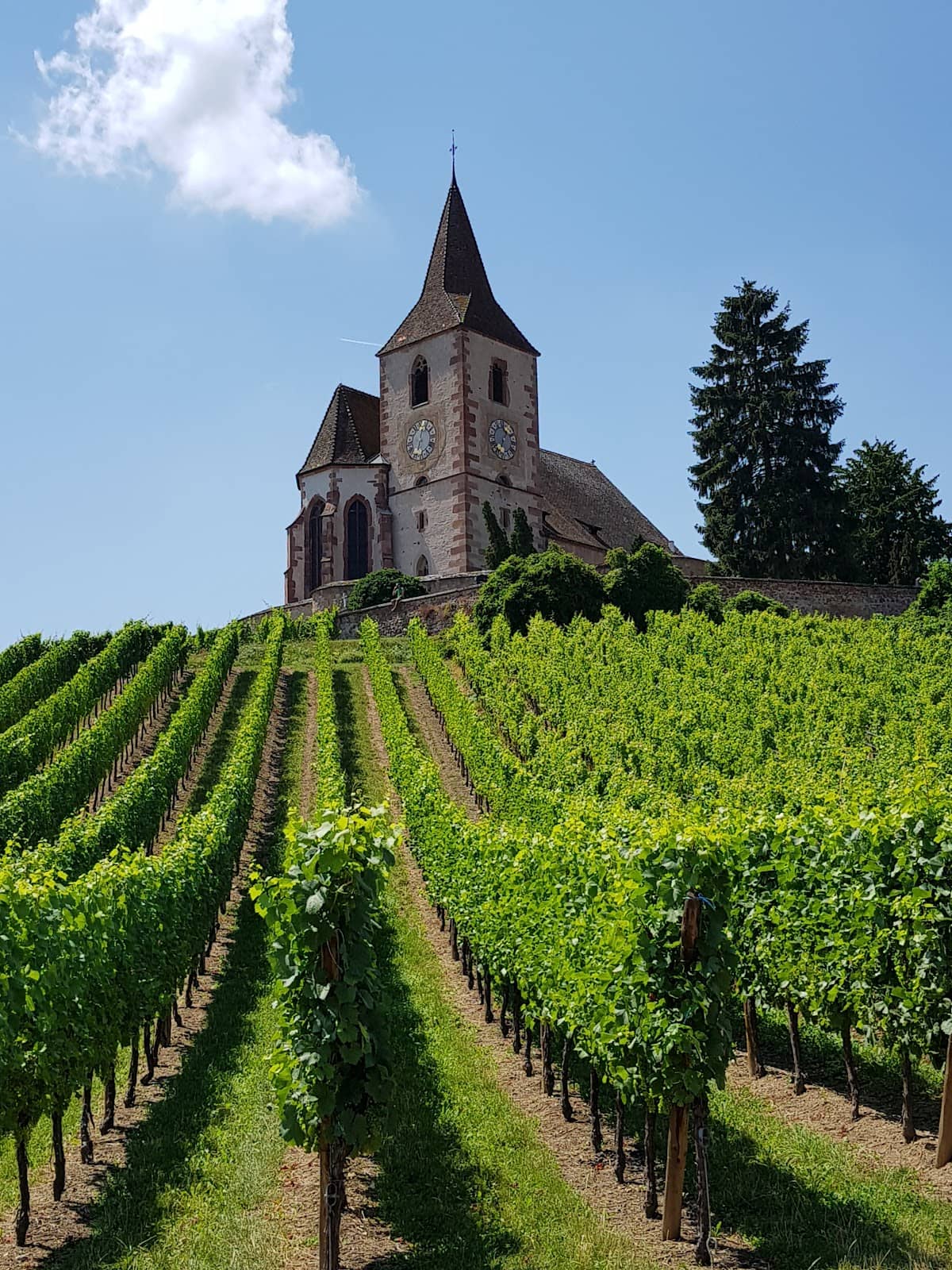 Alsace Wine Route