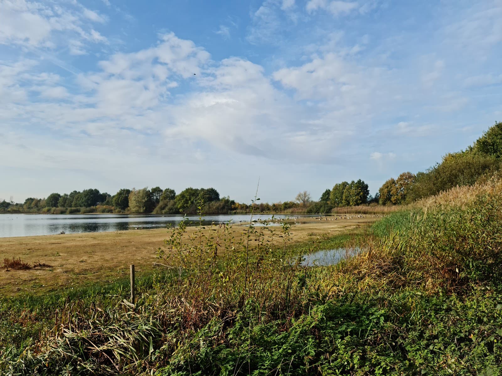 Mechels Broek Nature Reserve - Image 1