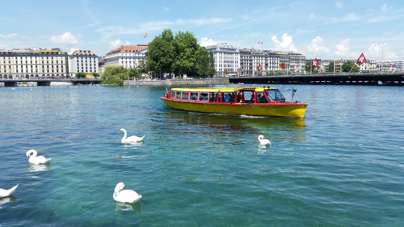 Pont du Mont-Blanc Geneva - Image 1